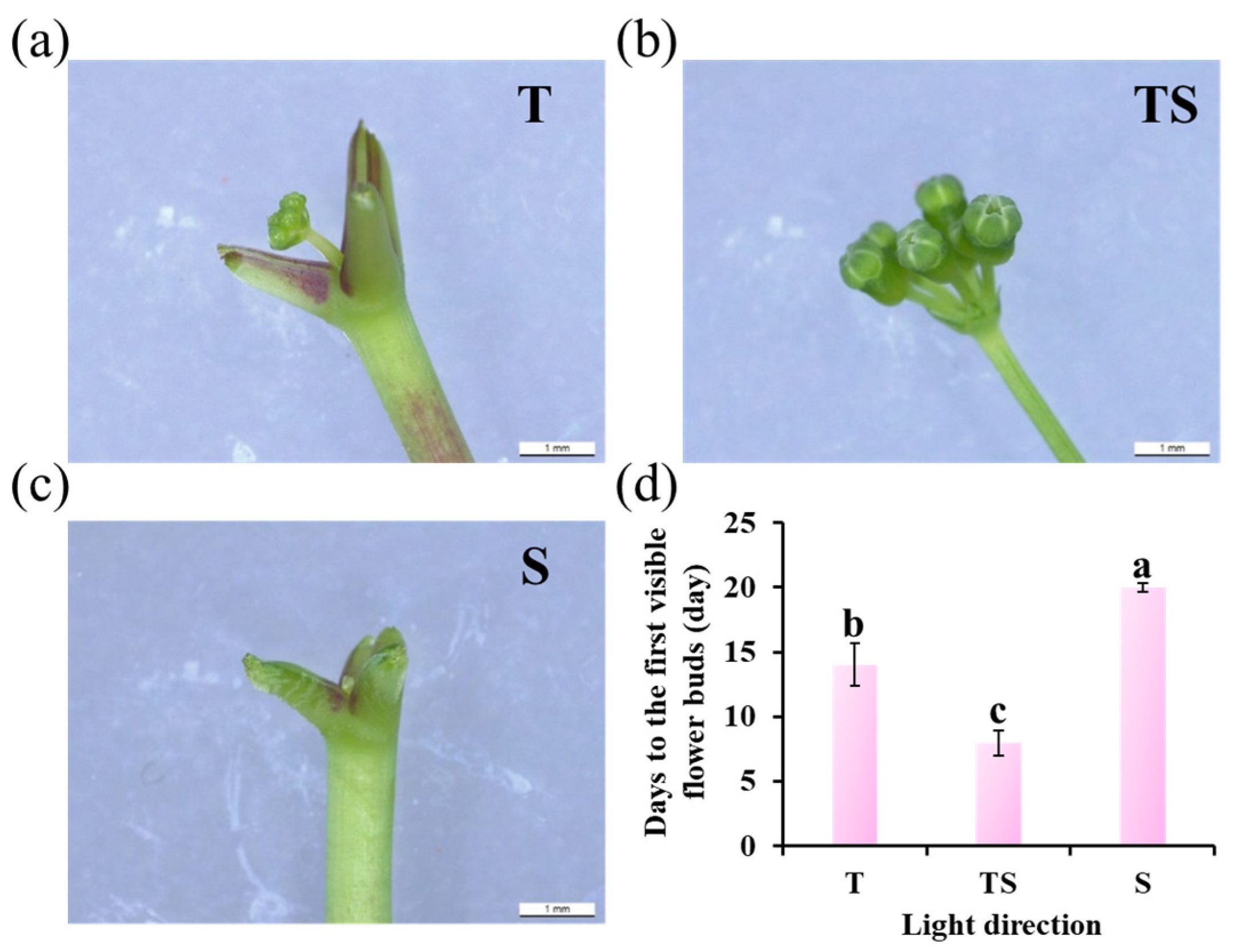 Plants 12 02849 g003