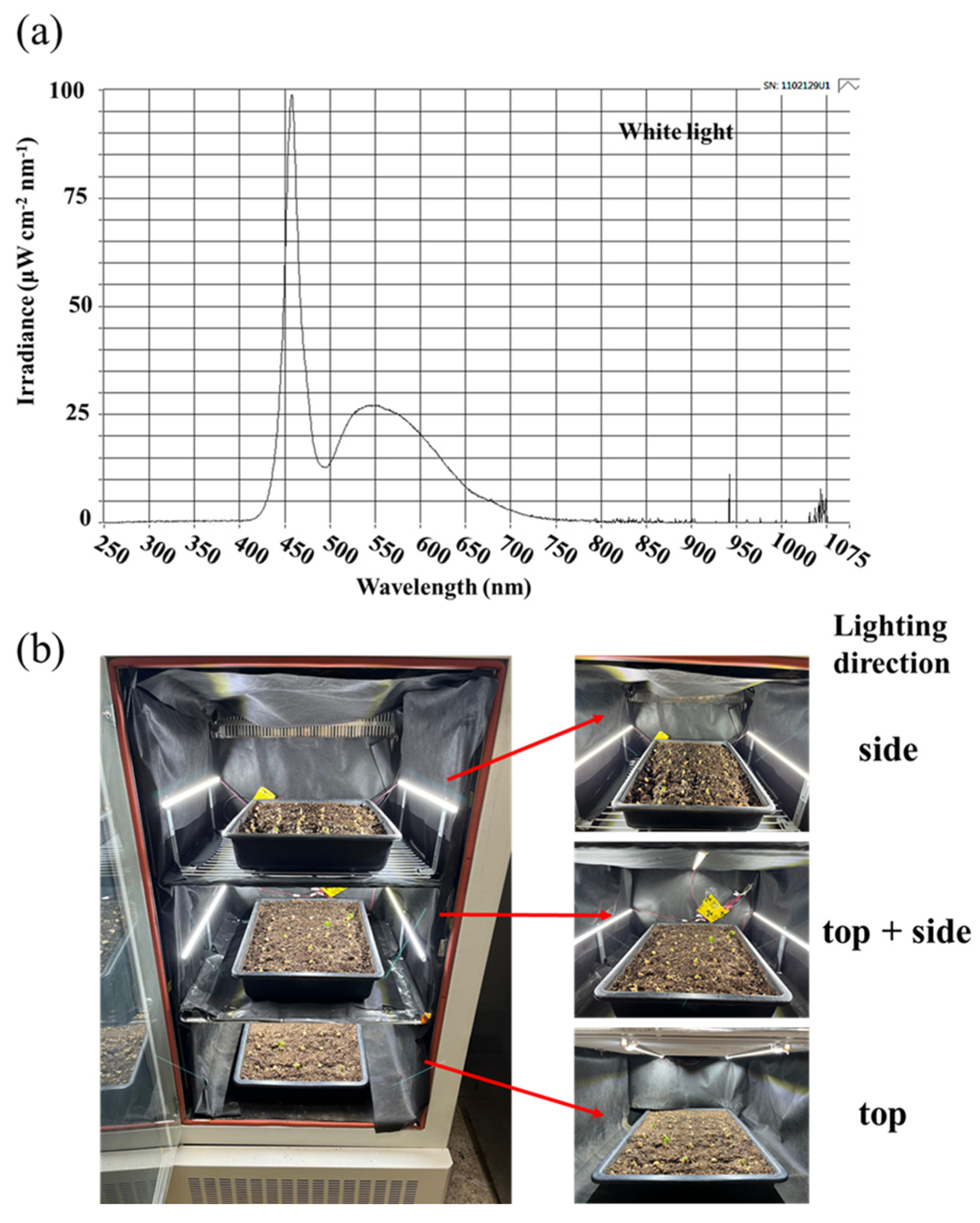 Plants 12 02849 g006