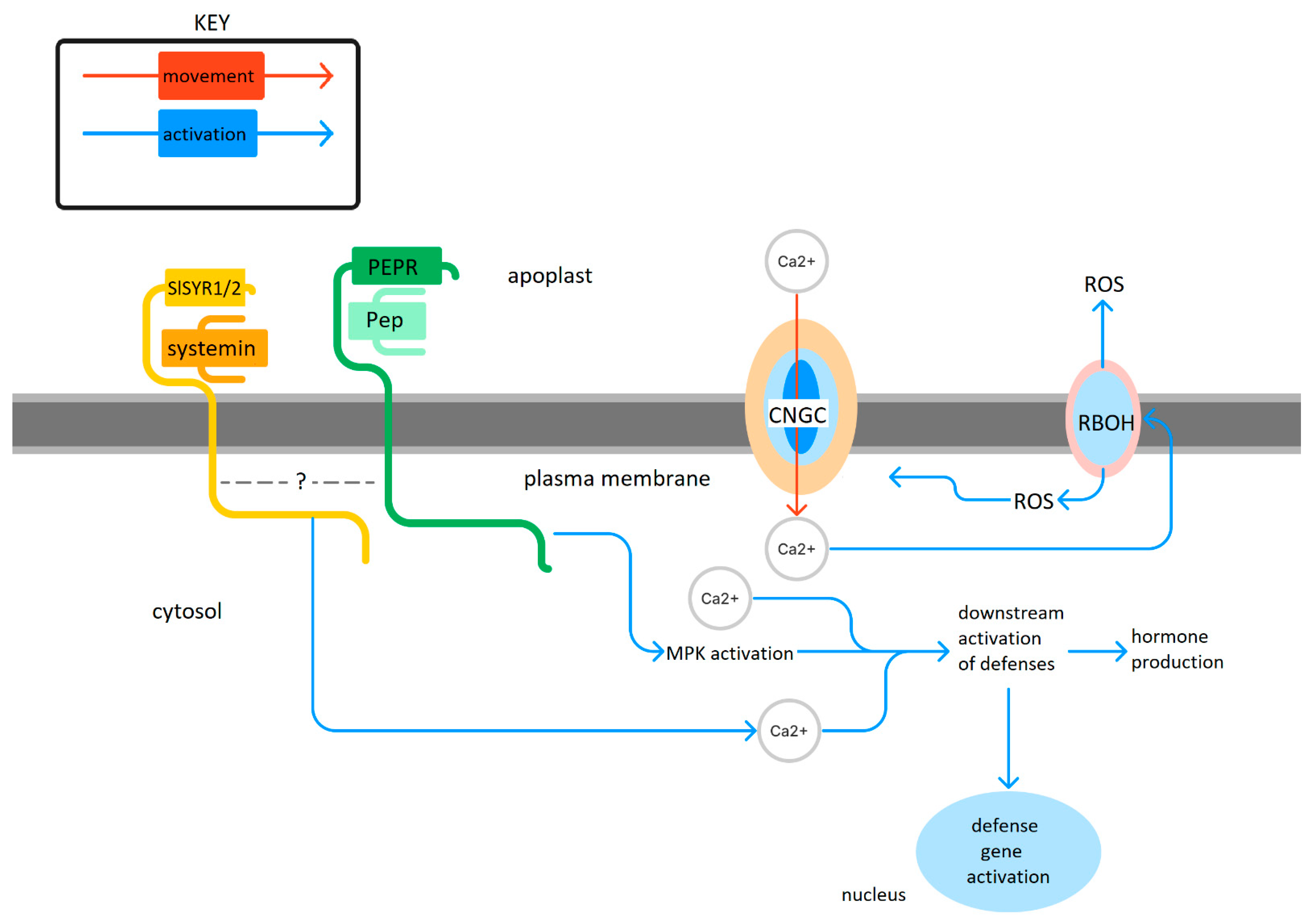 Plants 12 02856 g001
