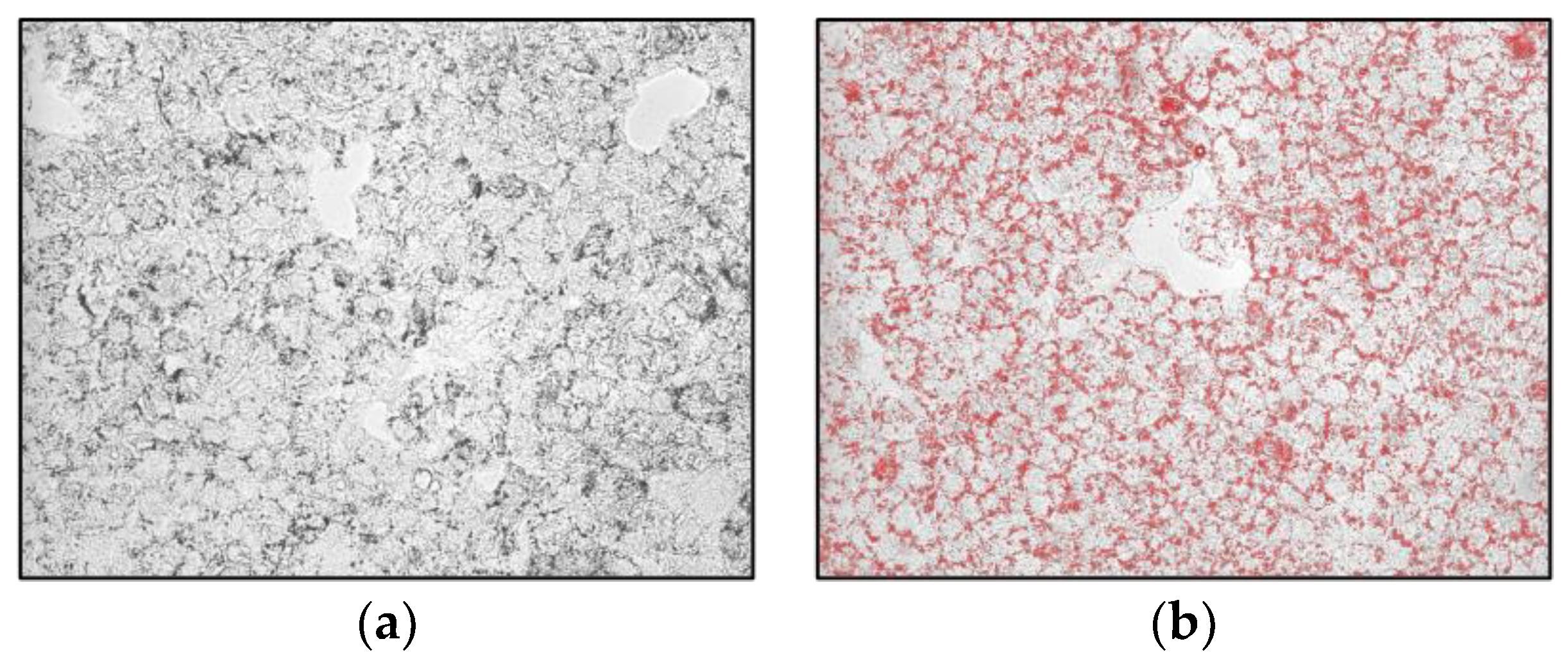 Plants 12 02859 g003a