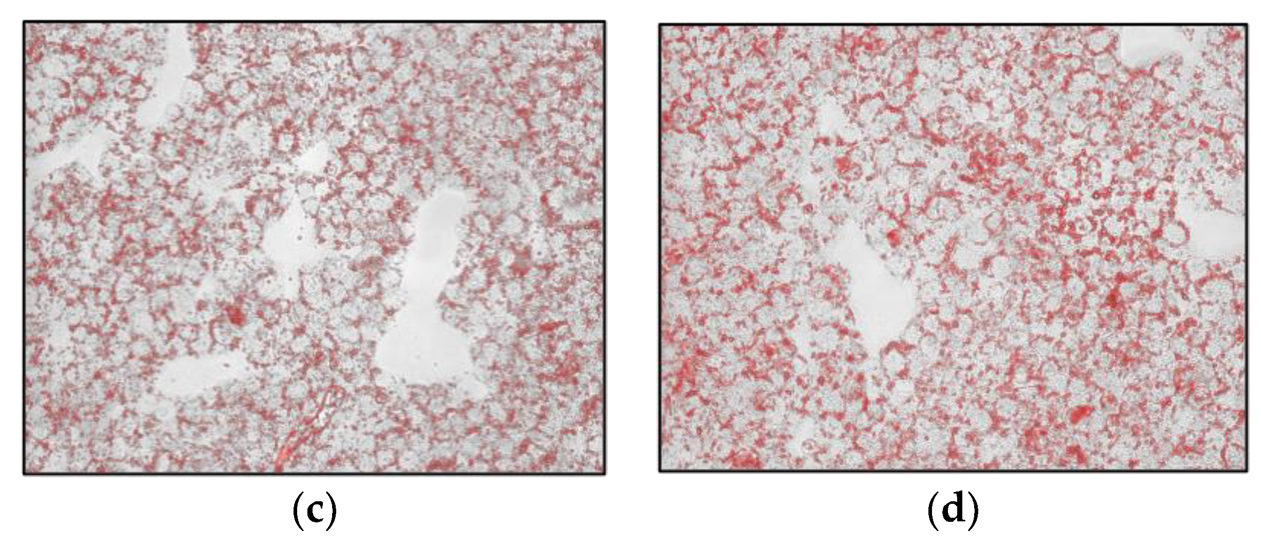 Plants 12 02859 g003b