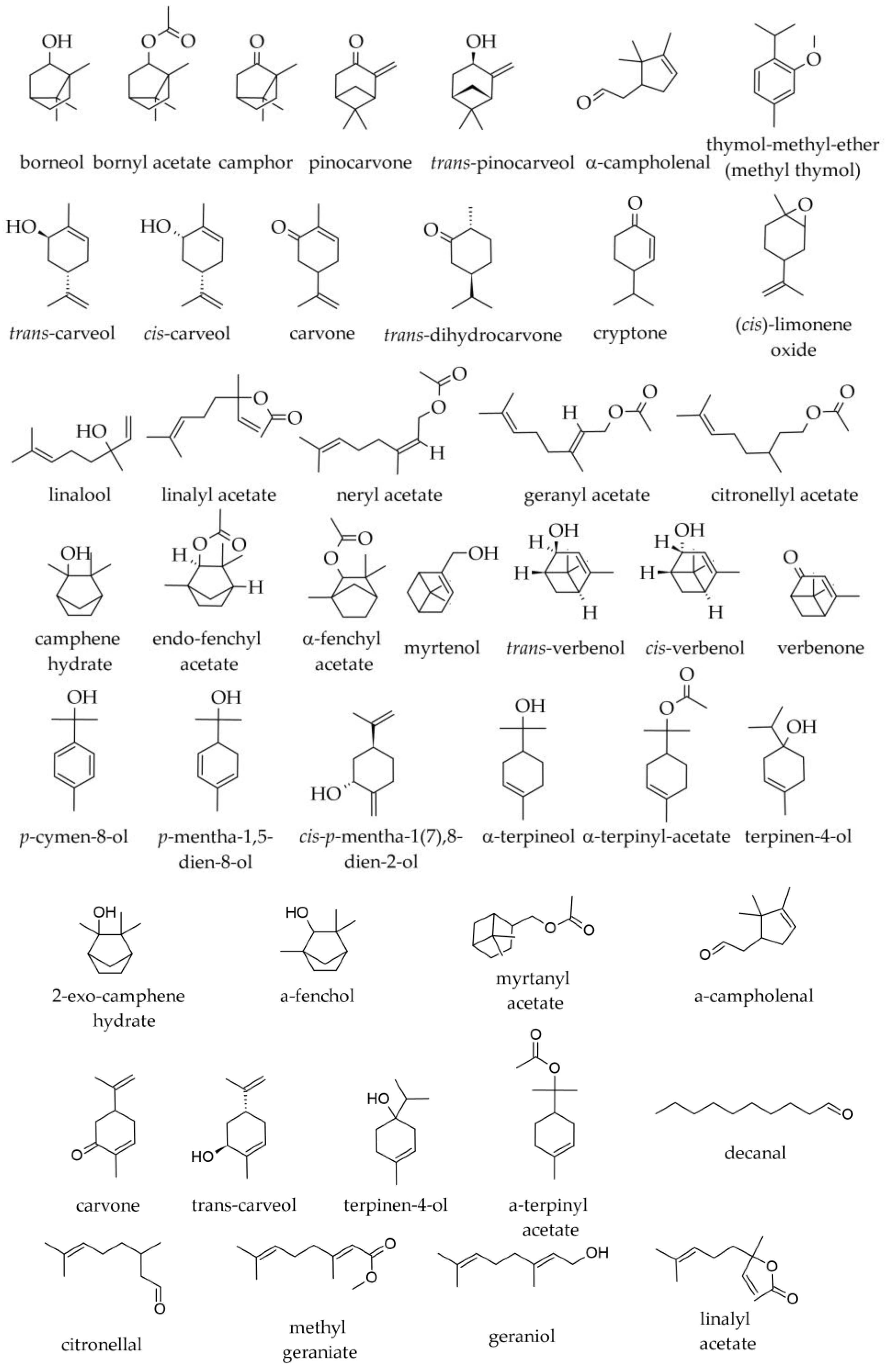 Plants 12 02860 g004 Plants 12 02860 g004