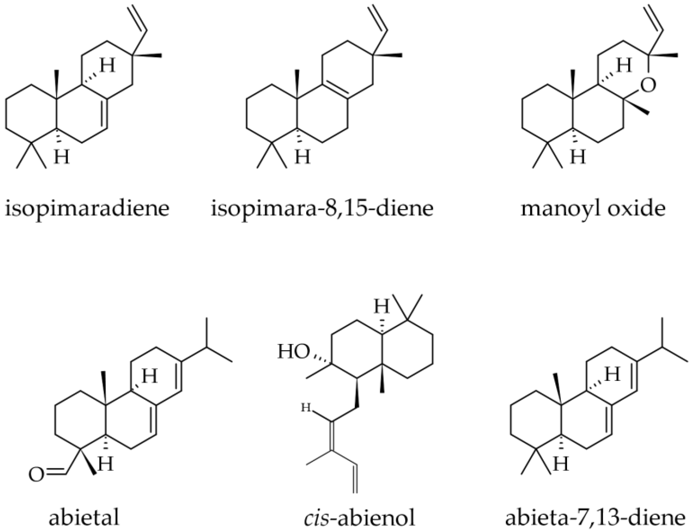 Plants 12 02860 g011 Plants 12 02860 g011
