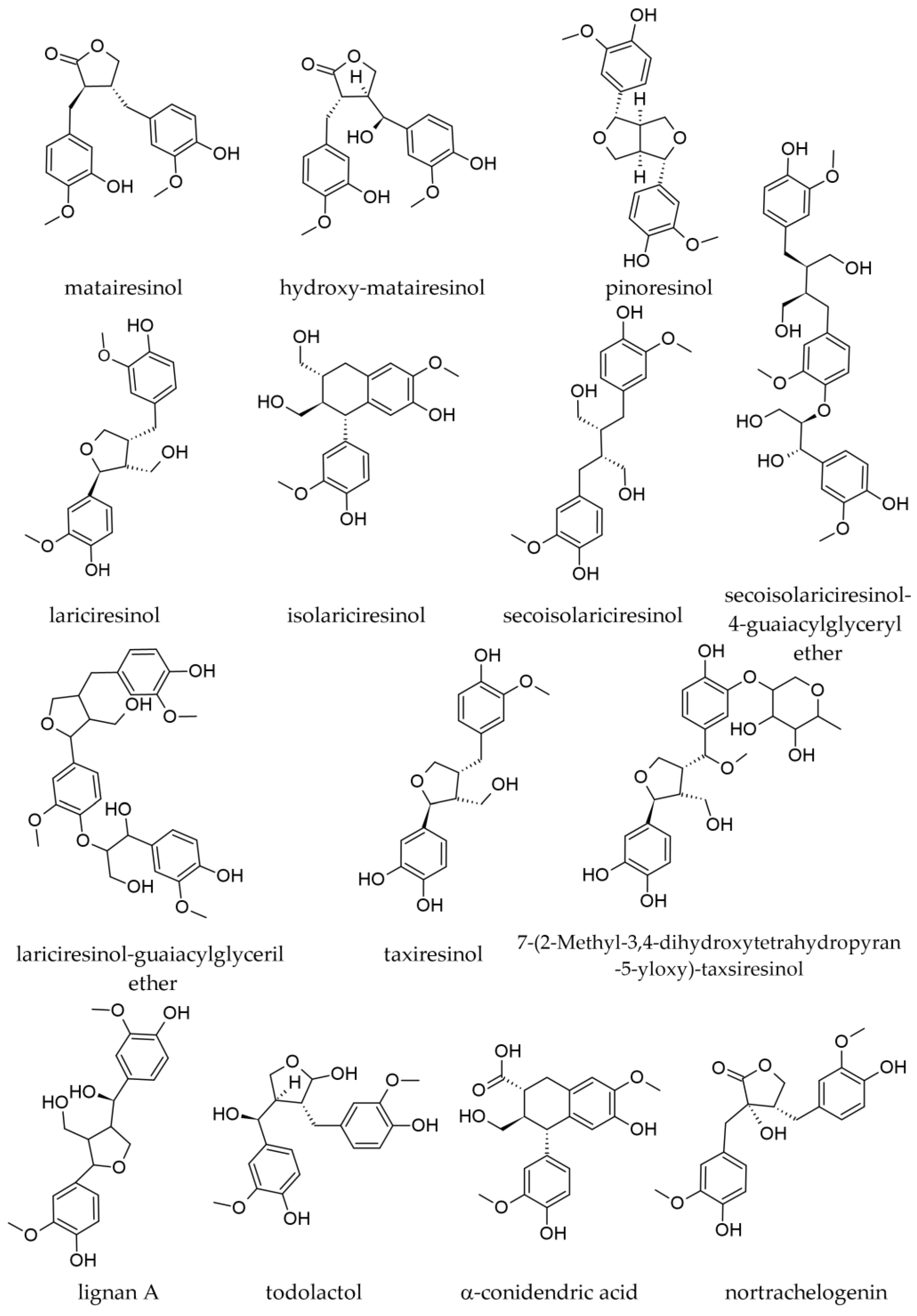 Plants 12 02860 g013 Plants 12 02860 g013