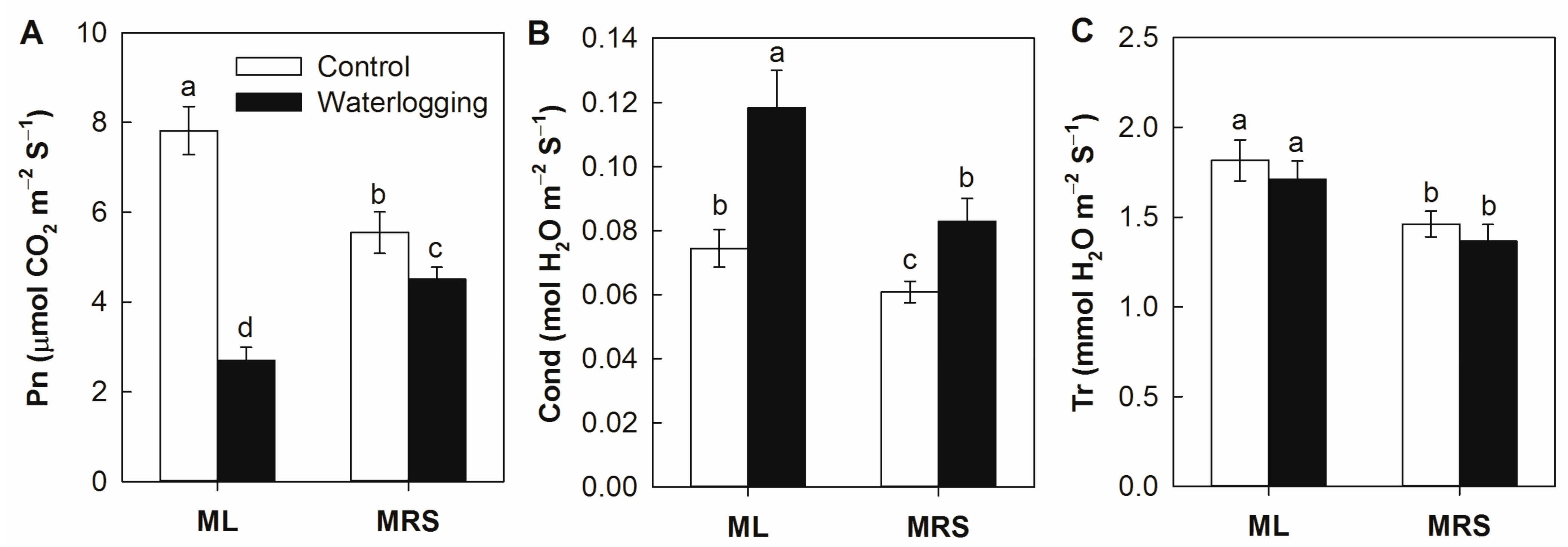 Plants 12 02872 g002