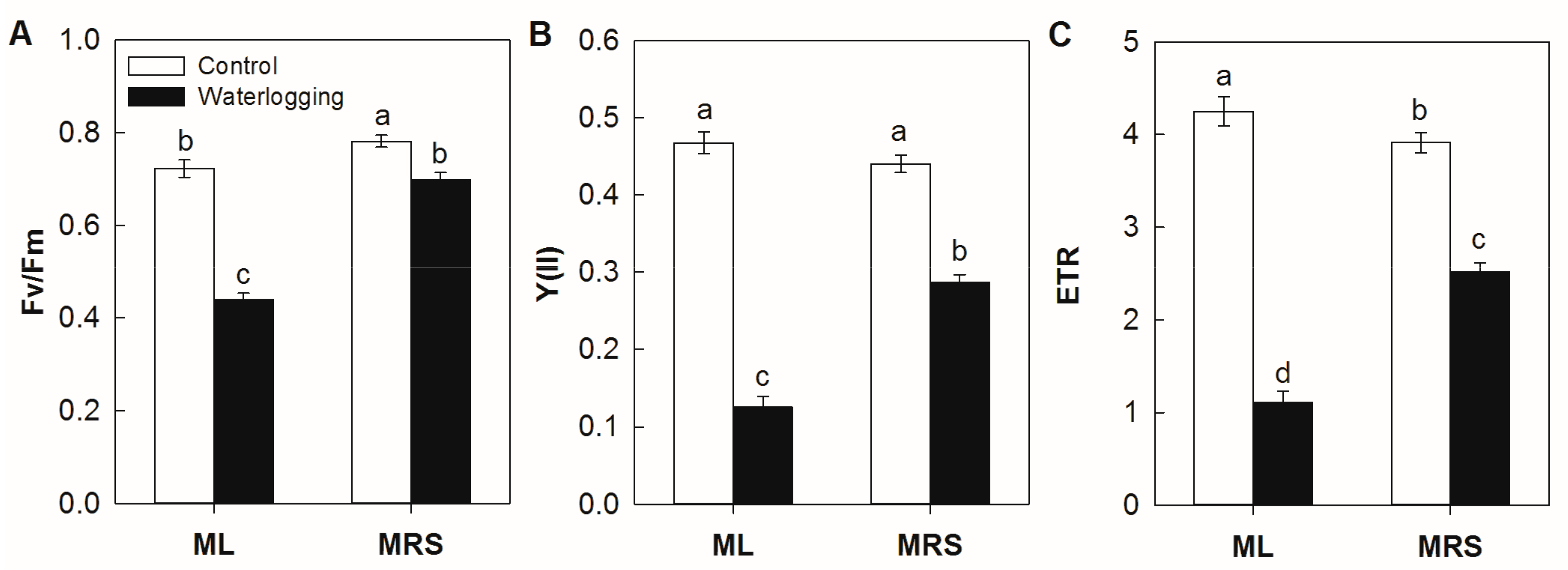 Plants 12 02872 g003