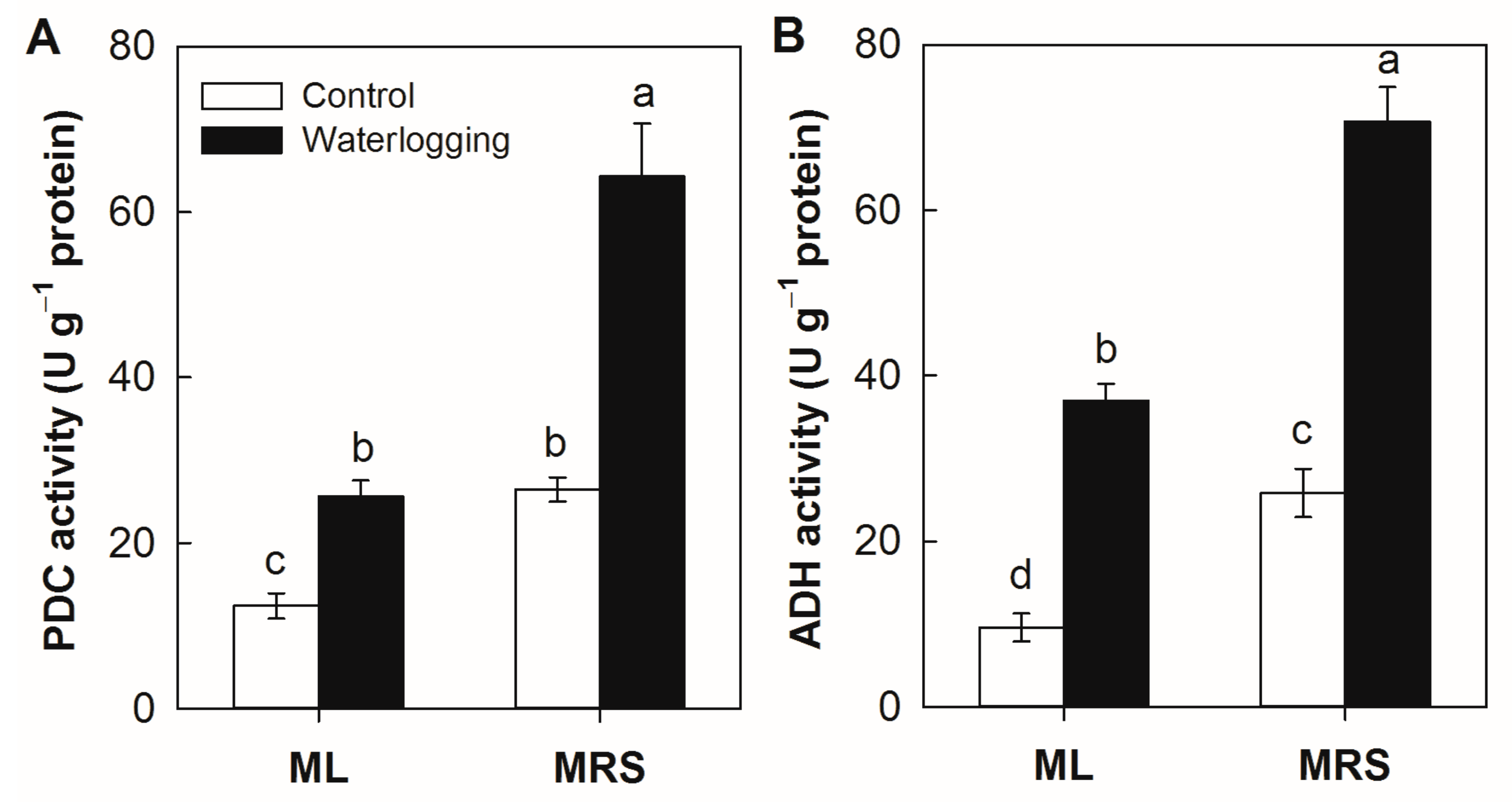 Plants 12 02872 g006