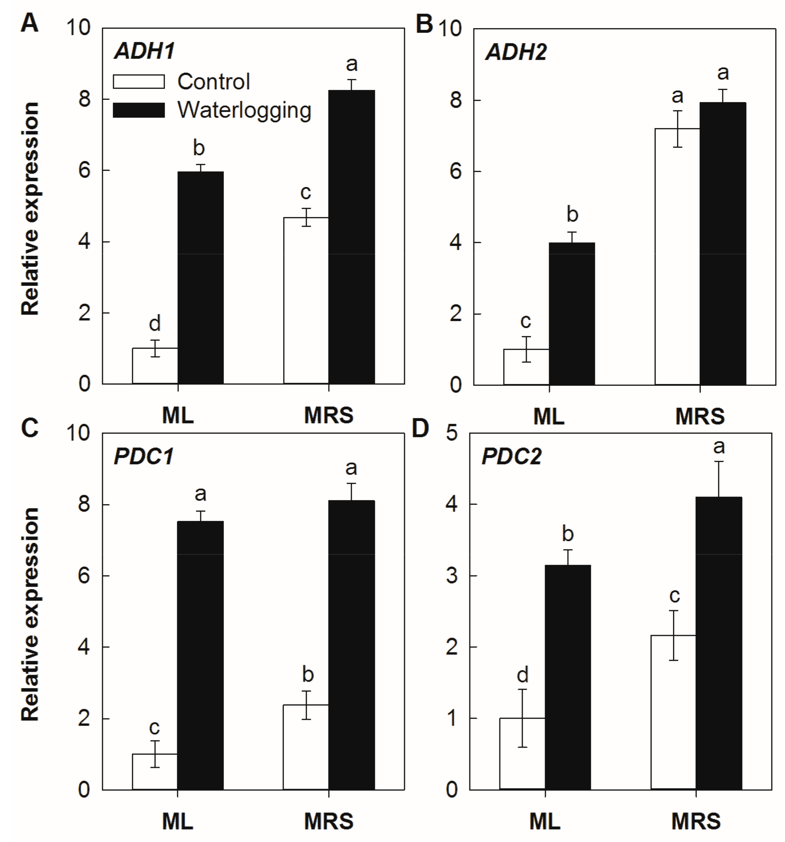 Plants 12 02872 g007