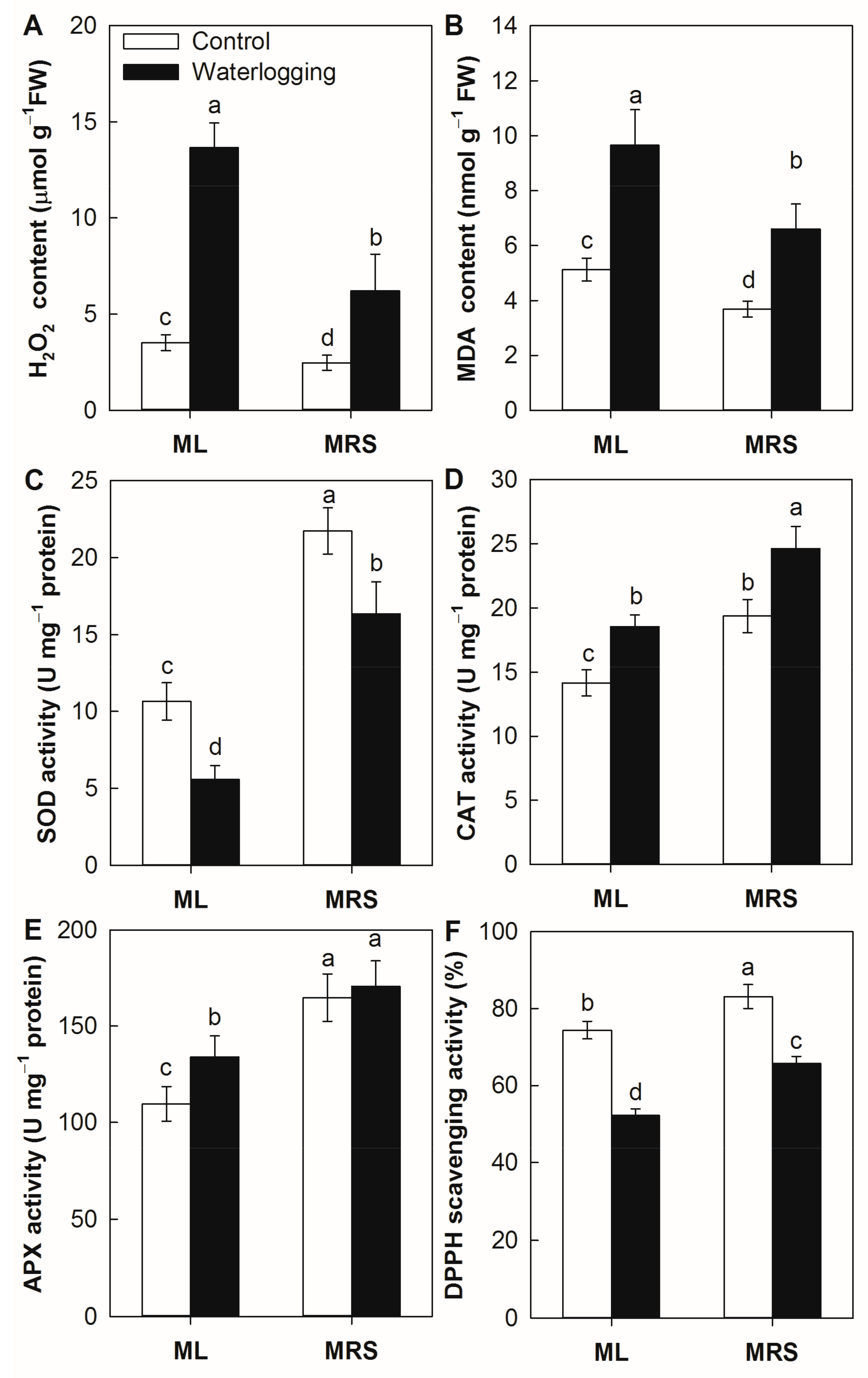 Plants 12 02872 g008