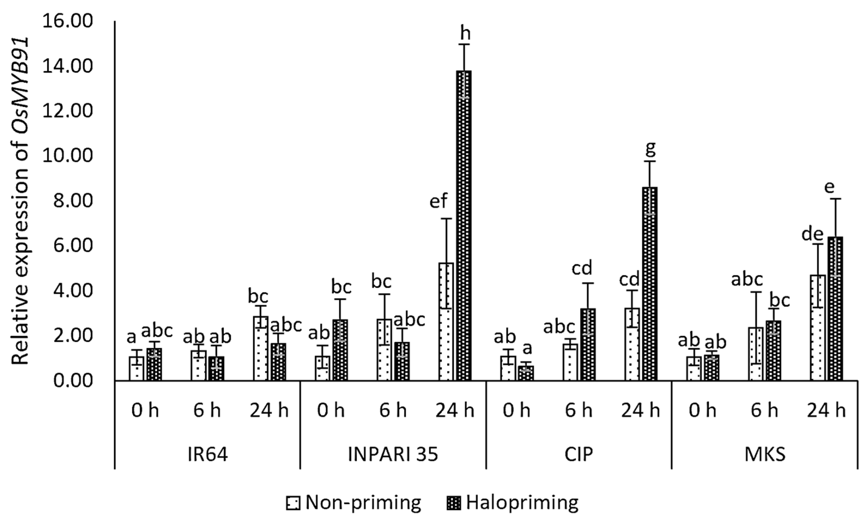 Plants 12 02879 g006