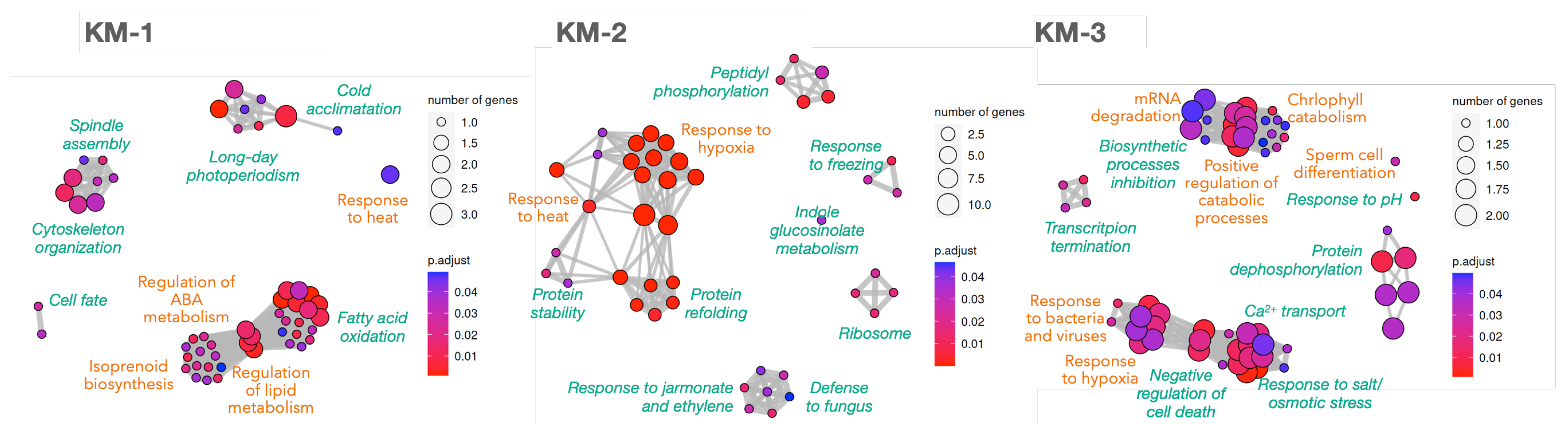 Plants 12 02894 g004