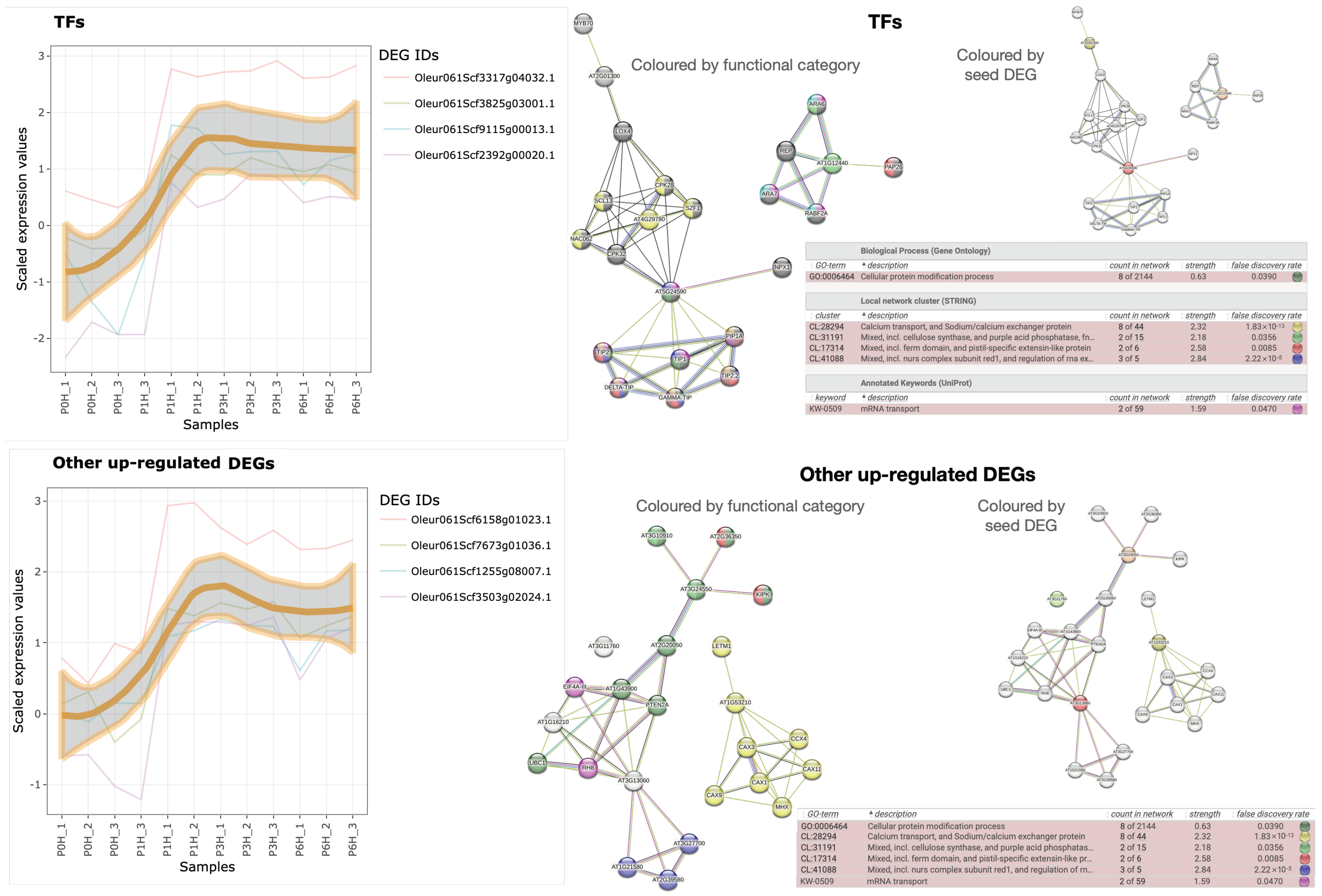 Plants 12 02894 g006