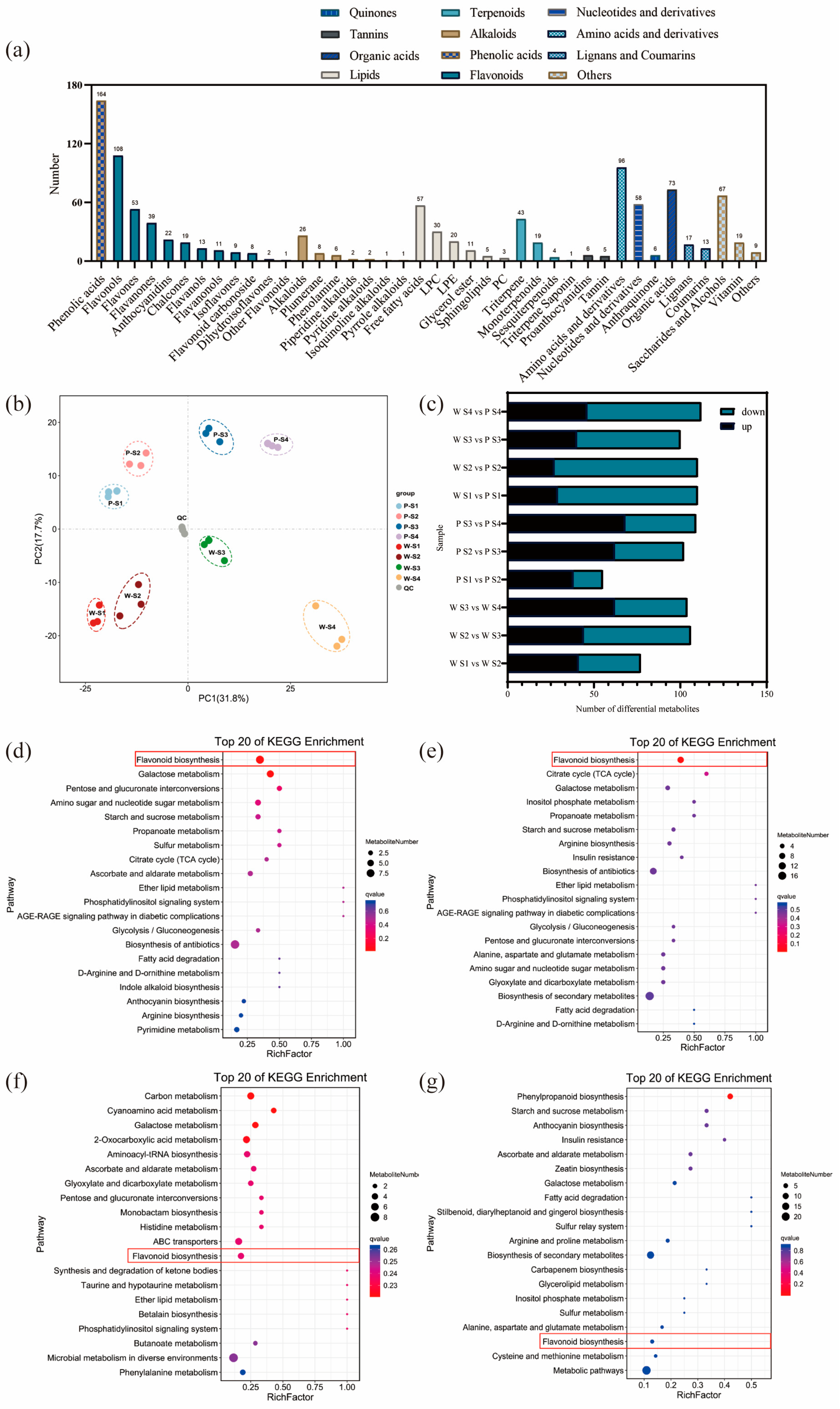 Plants 12 02897 g002 Plants 12 02897 g002