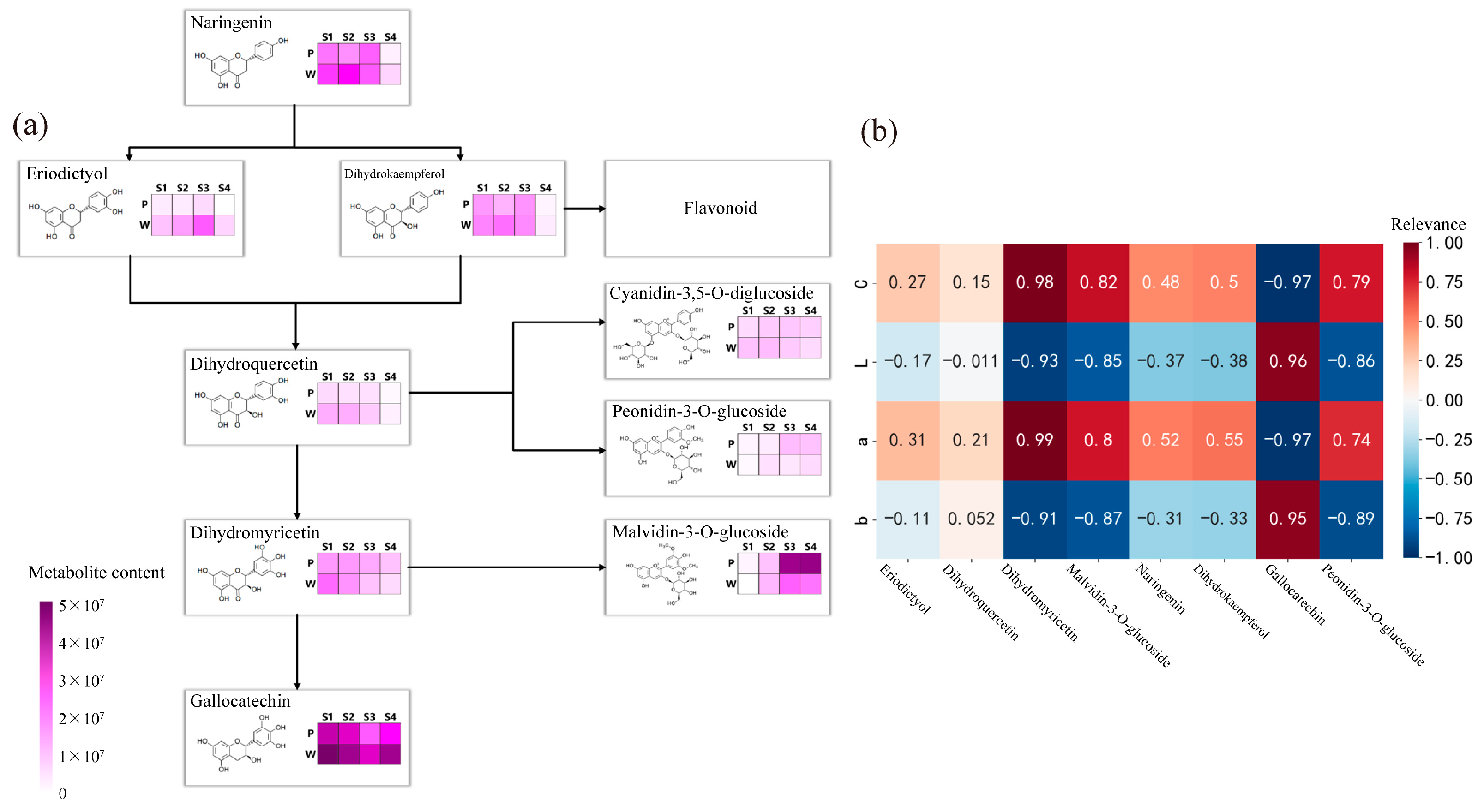 Plants 12 02897 g003 Plants 12 02897 g003