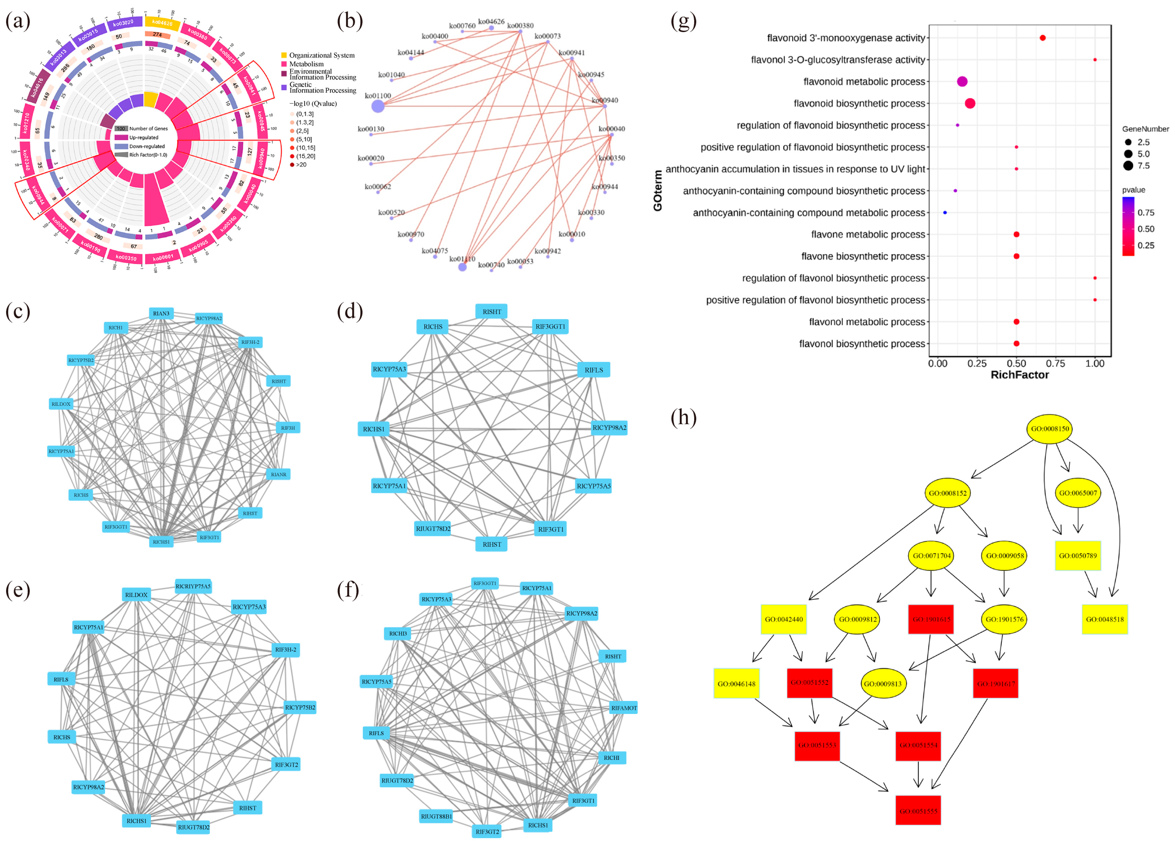 Plants 12 02897 g004 Plants 12 02897 g004