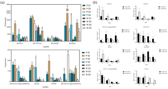 Plants 12 02897 g007