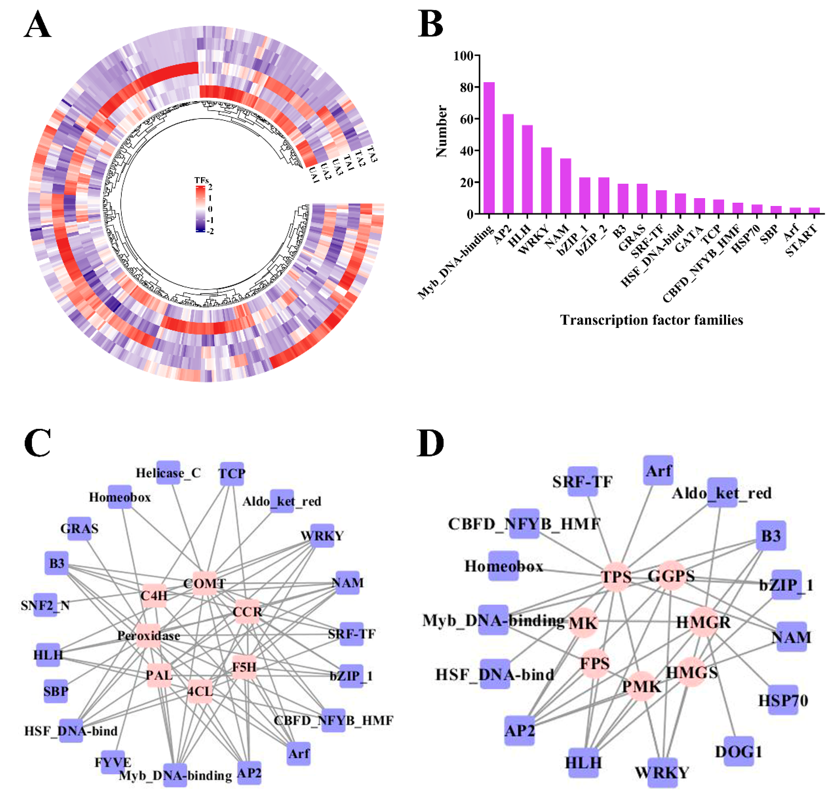 Plants 12 02901 g001