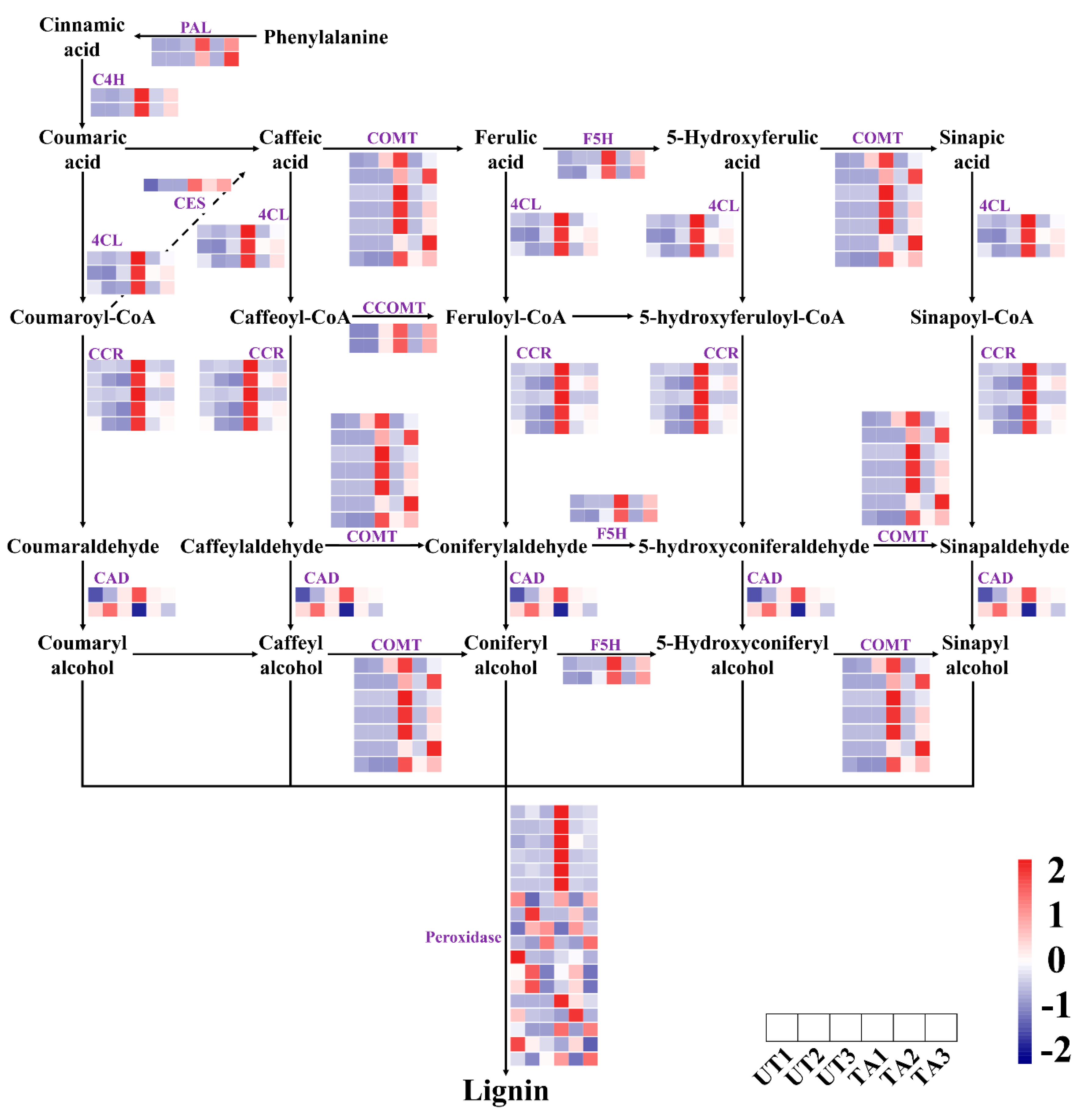 Plants 12 02901 g002