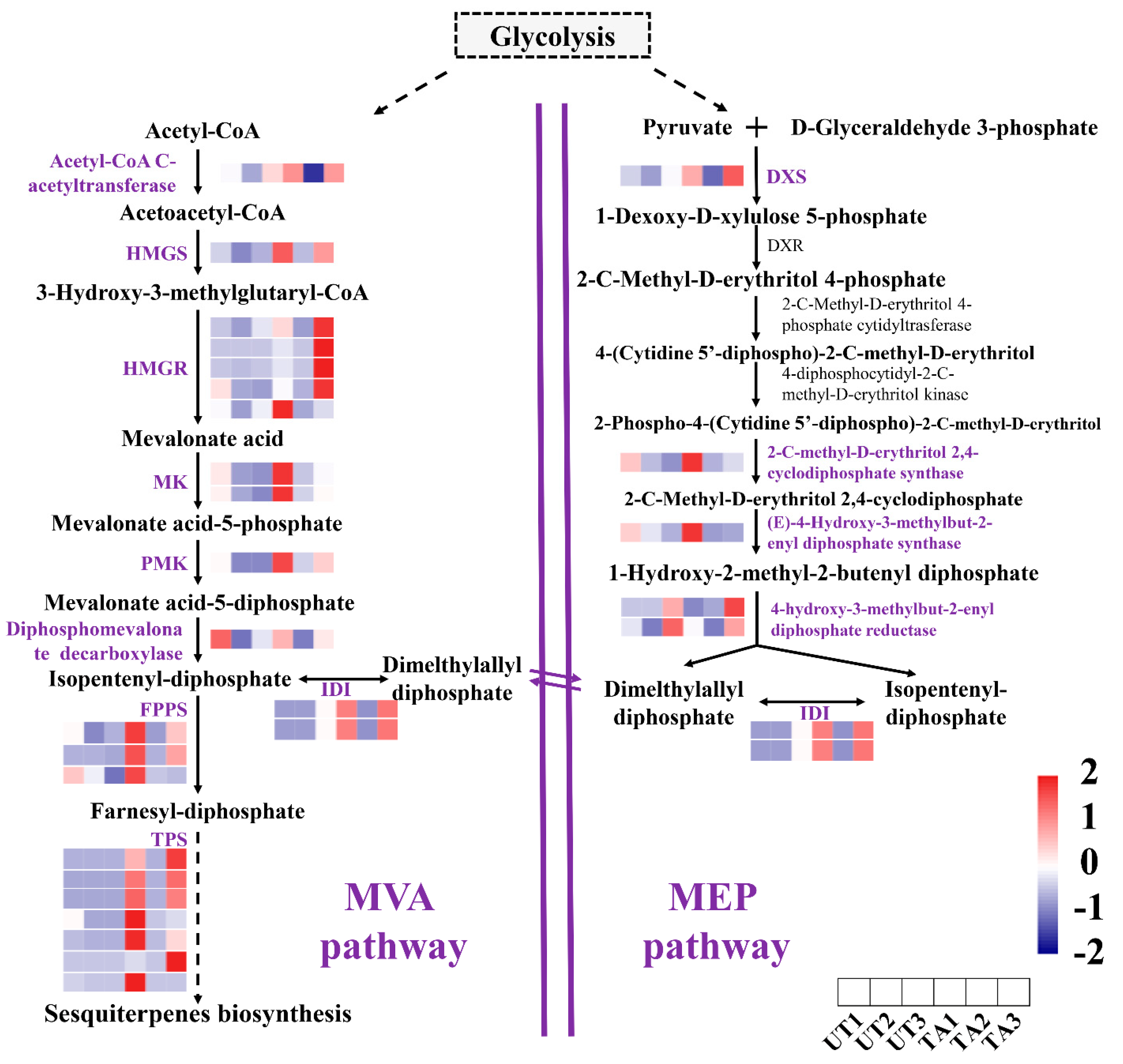 Plants 12 02901 g003
