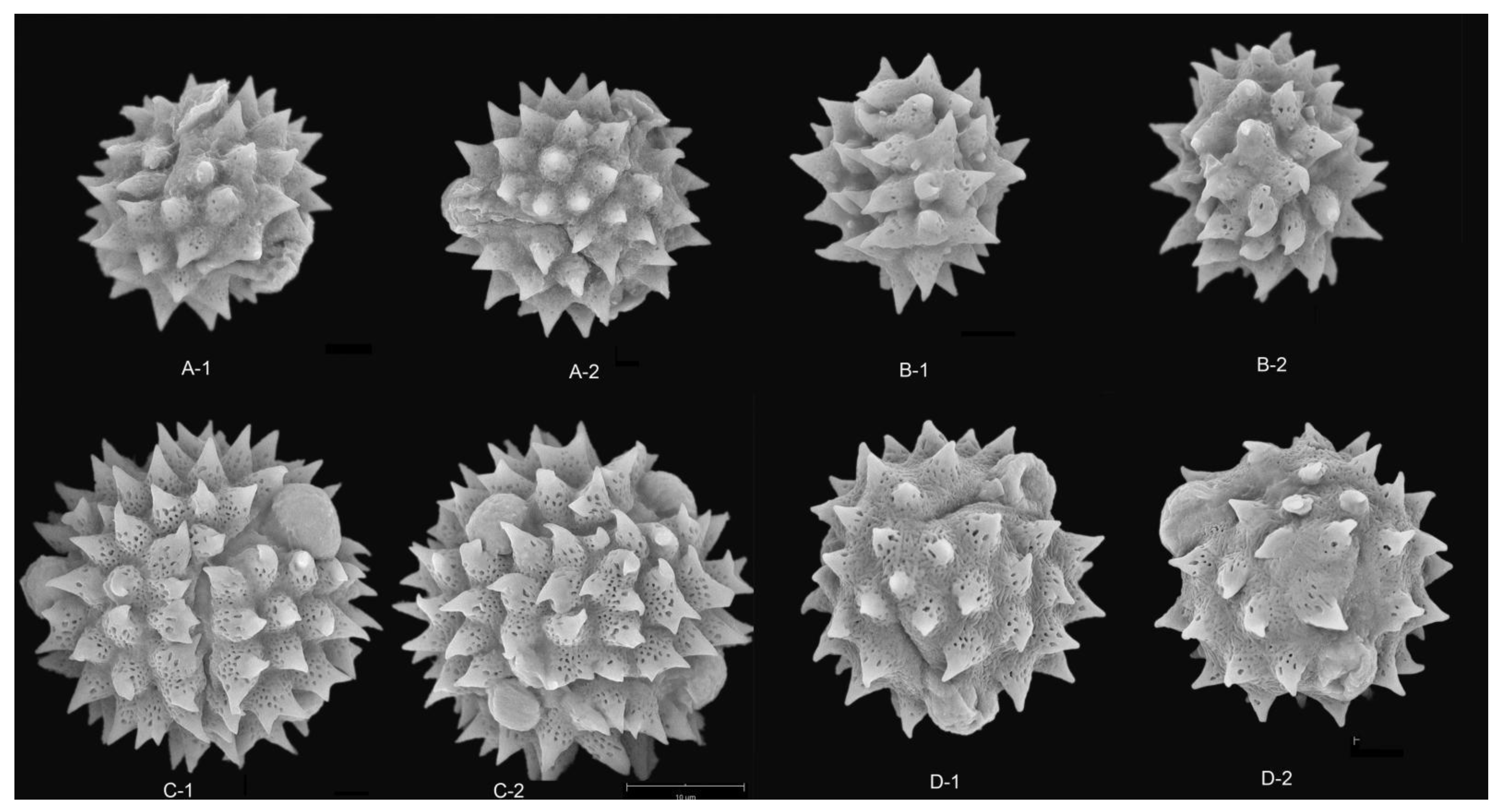 Plants 12 02909 g005