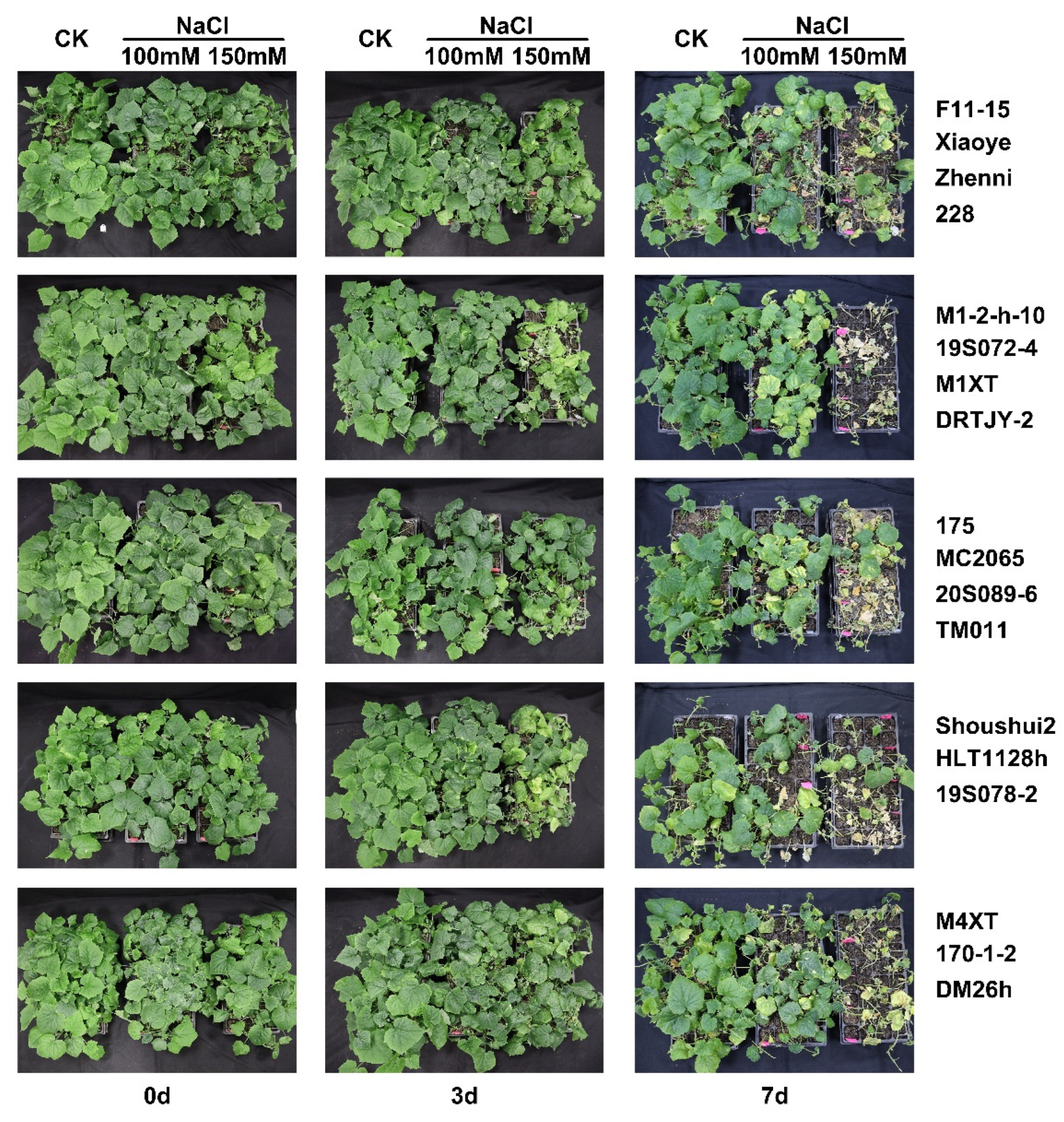 Plants 12 02927 g001 Plants 12 02927 g001