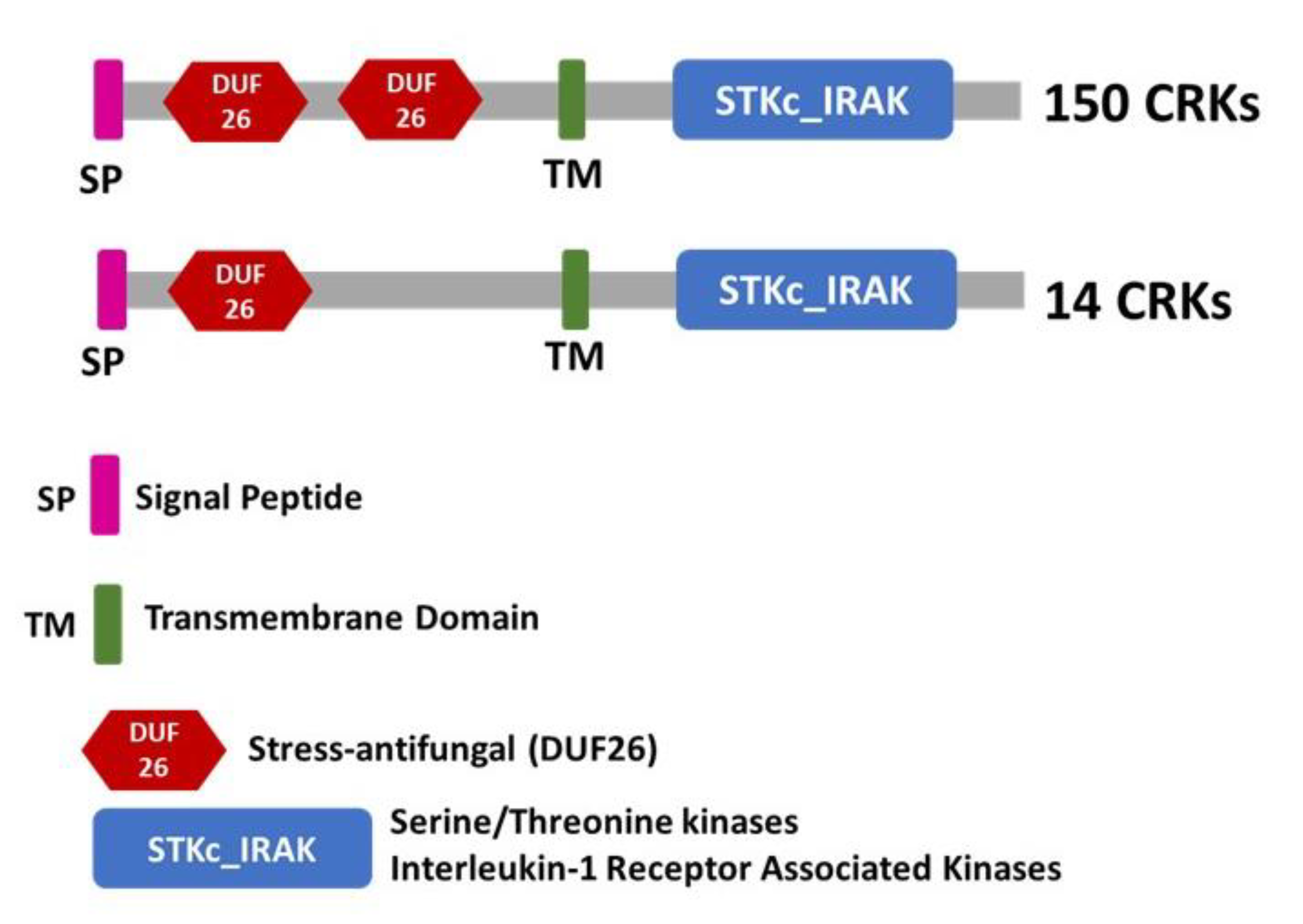 Plants 12 02932 g001