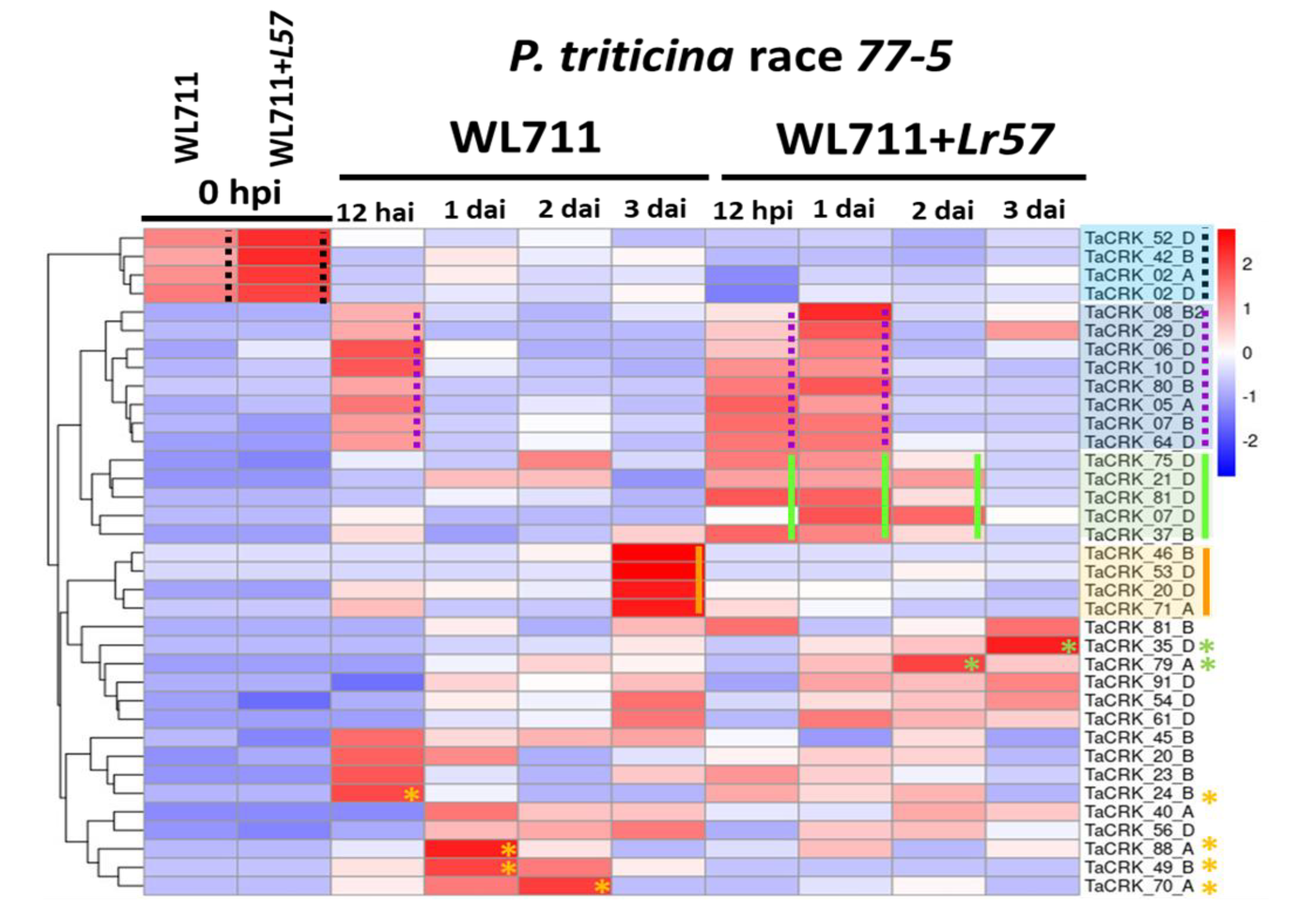 Plants 12 02932 g004