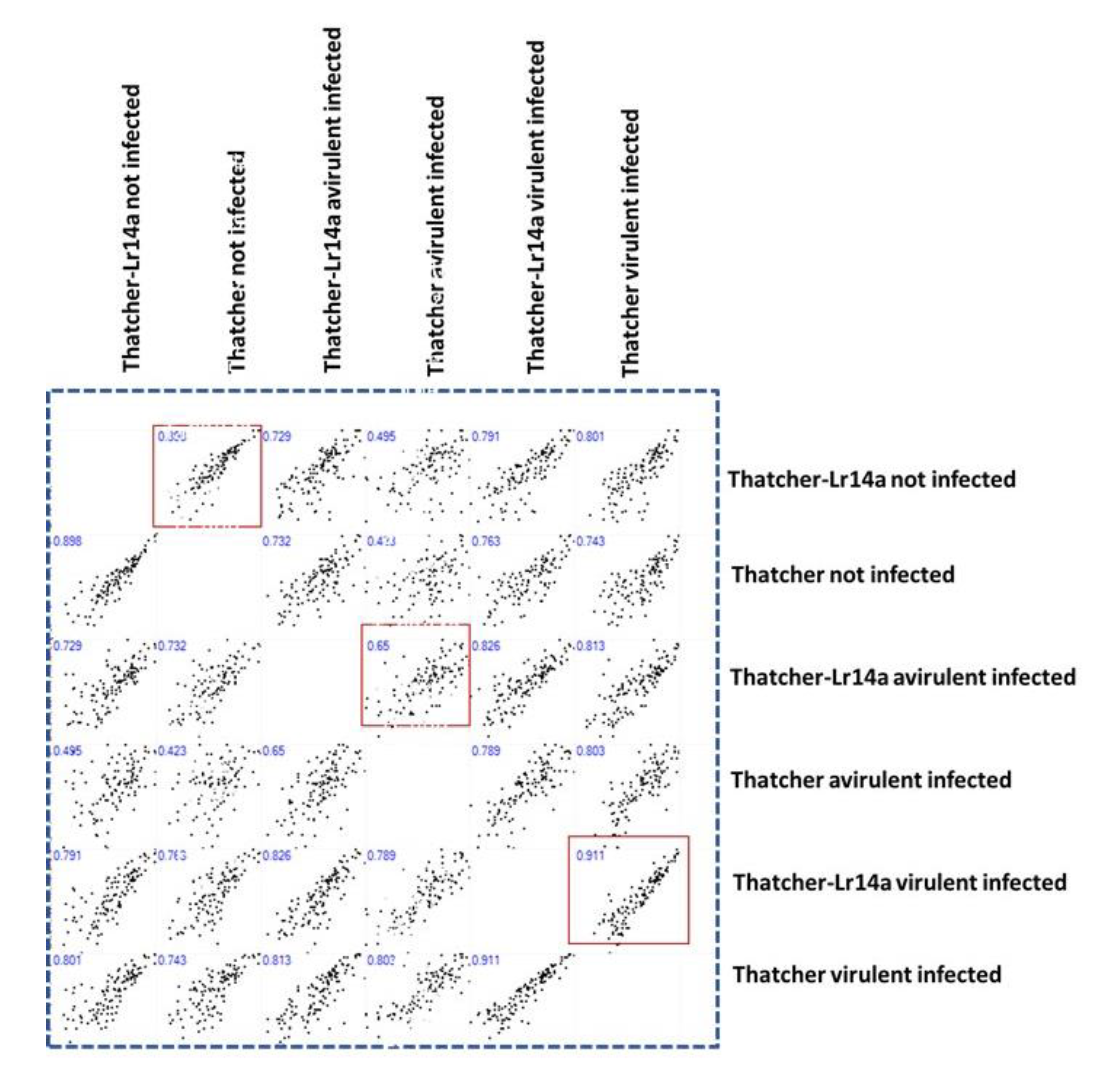 Plants 12 02932 g005