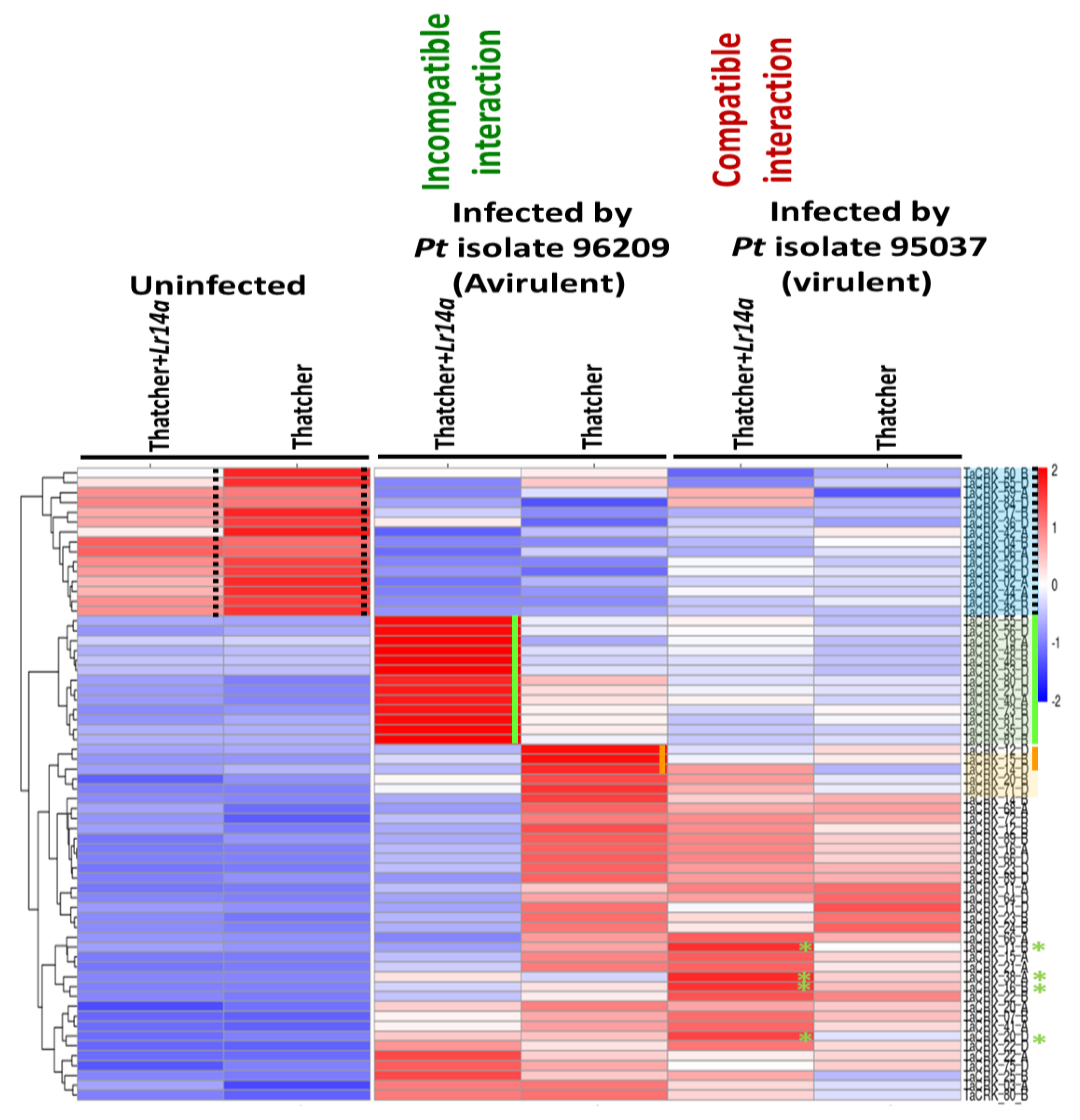 Plants 12 02932 g006
