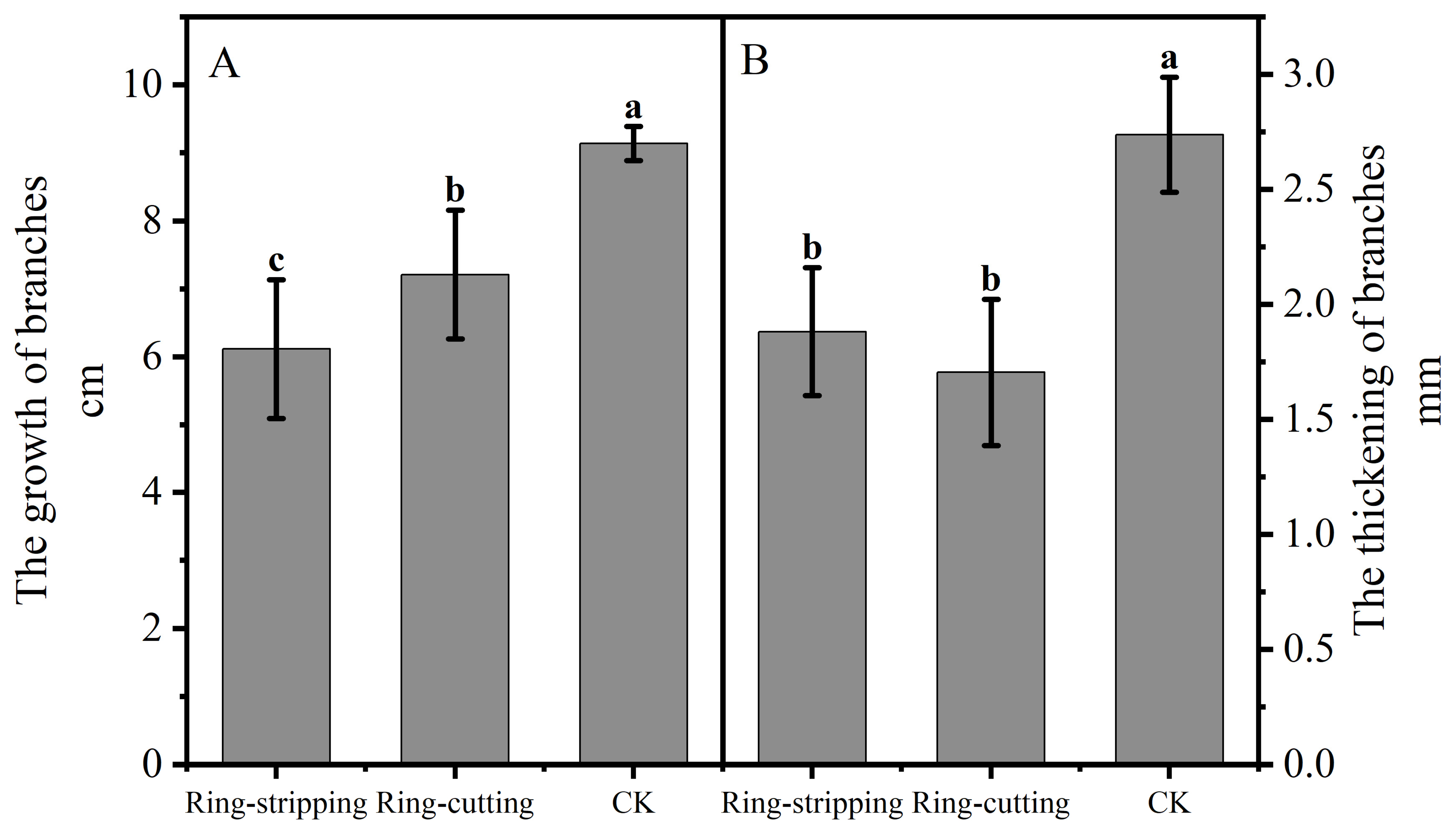 Plants 12 02933 g006