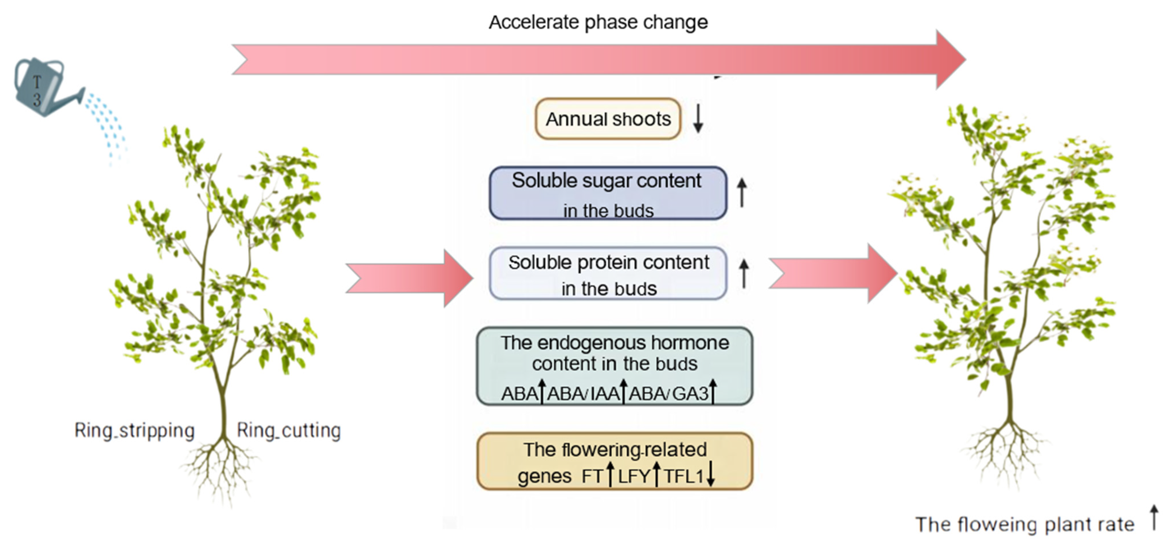 Plants 12 02933 g011