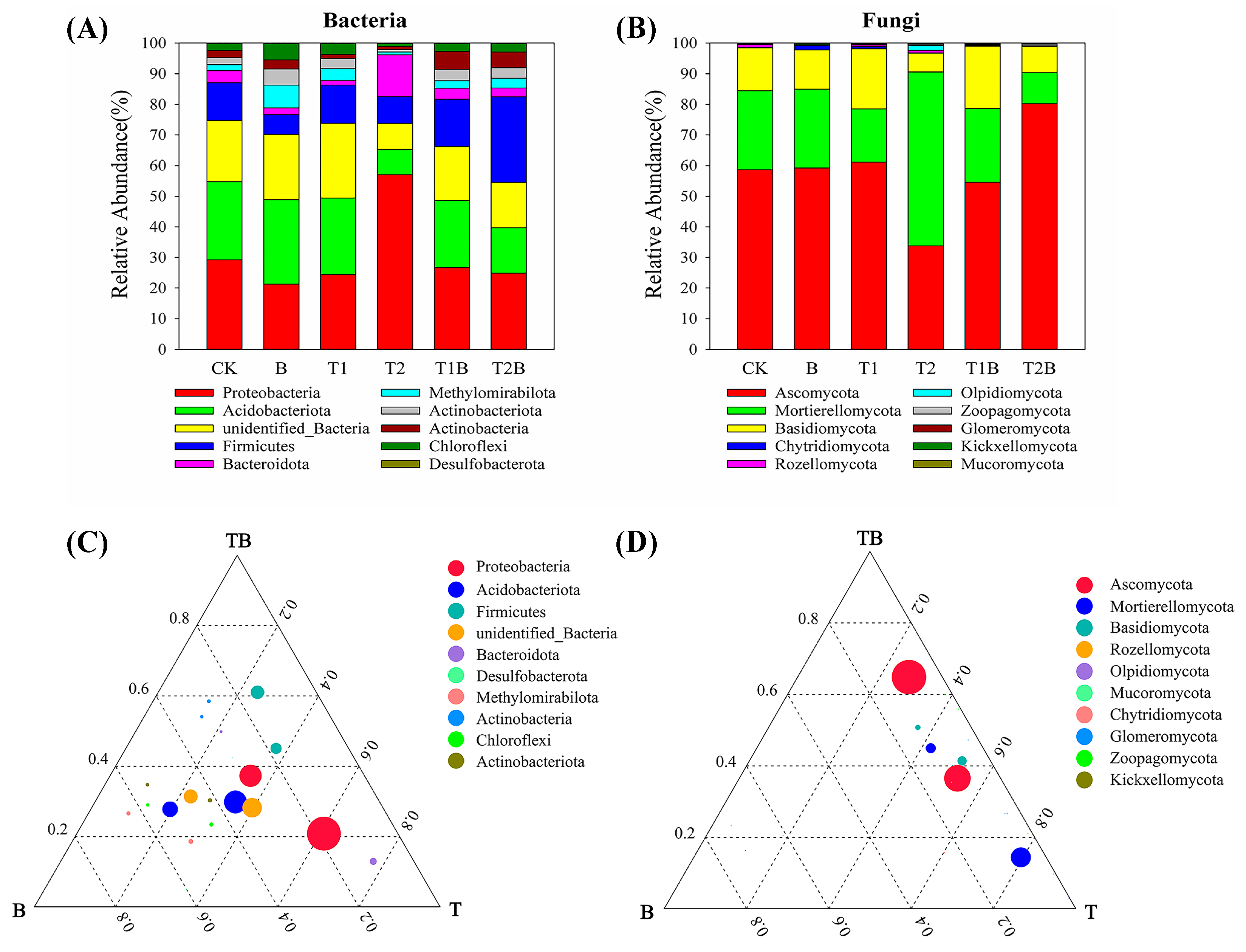 Plants 12 02939 g004 Plants 12 02939 g004