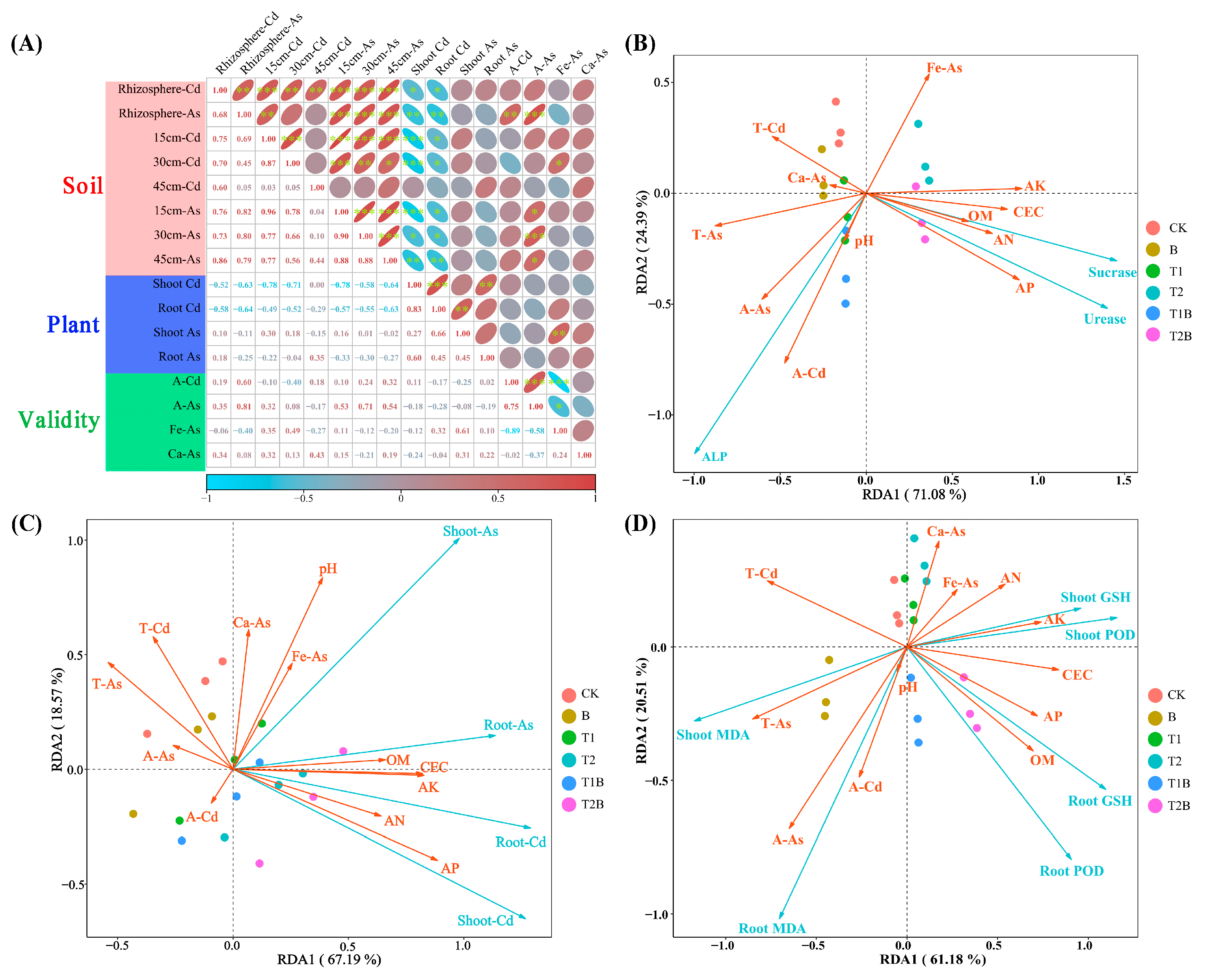 Plants 12 02939 g007 Plants 12 02939 g007