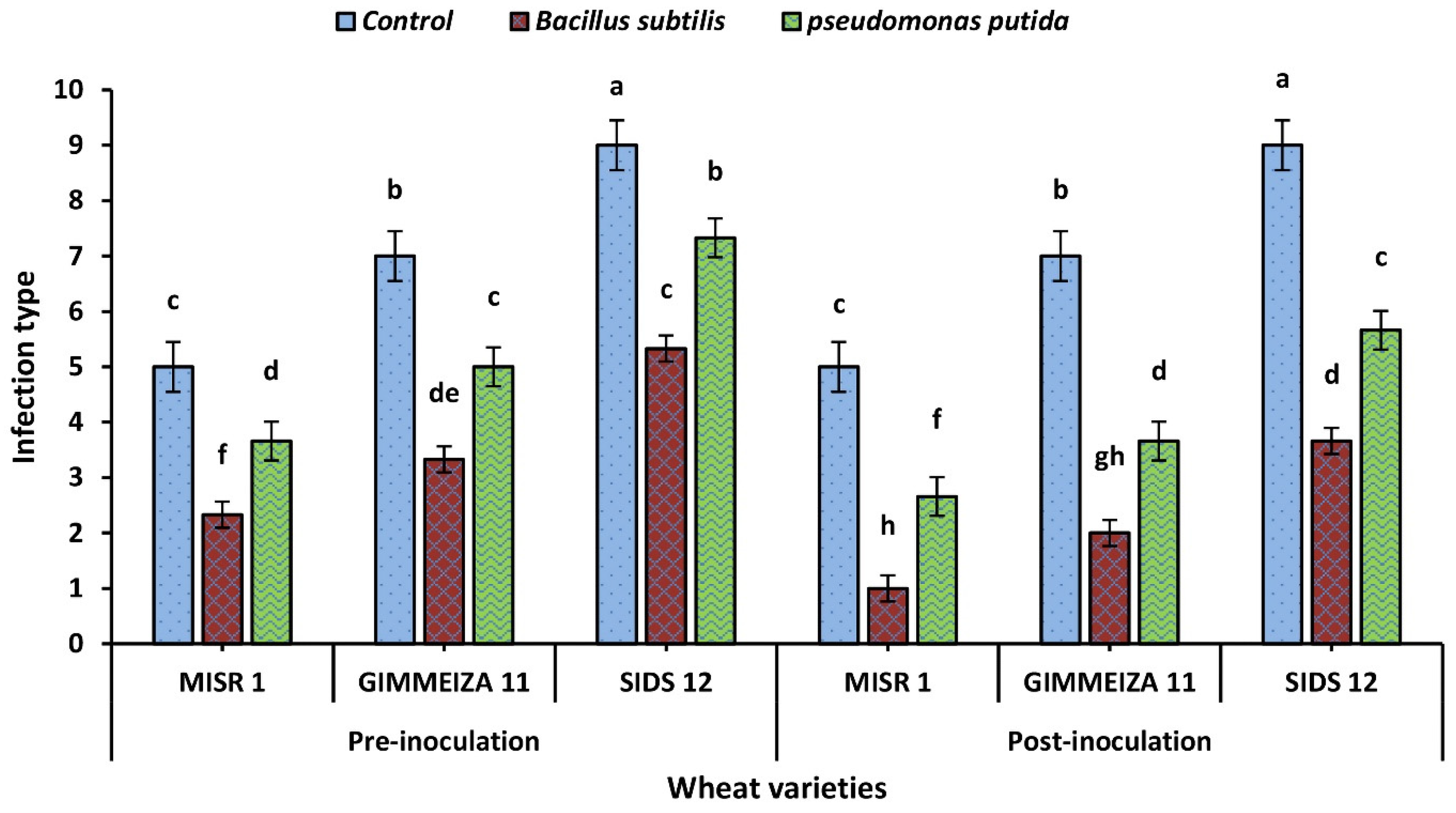 Plants 12 02954 g001 Plants 12 02954 g001