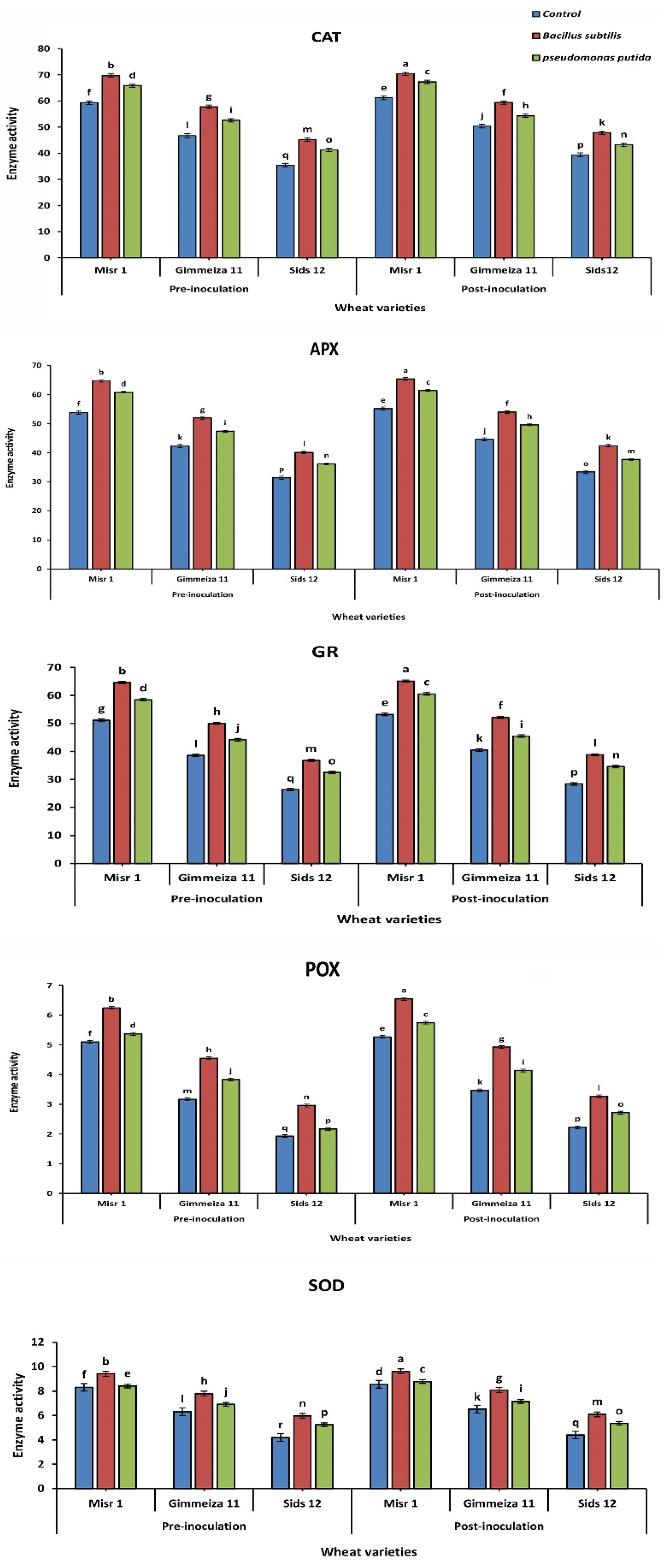 Plants 12 02954 g005 Plants 12 02954 g005