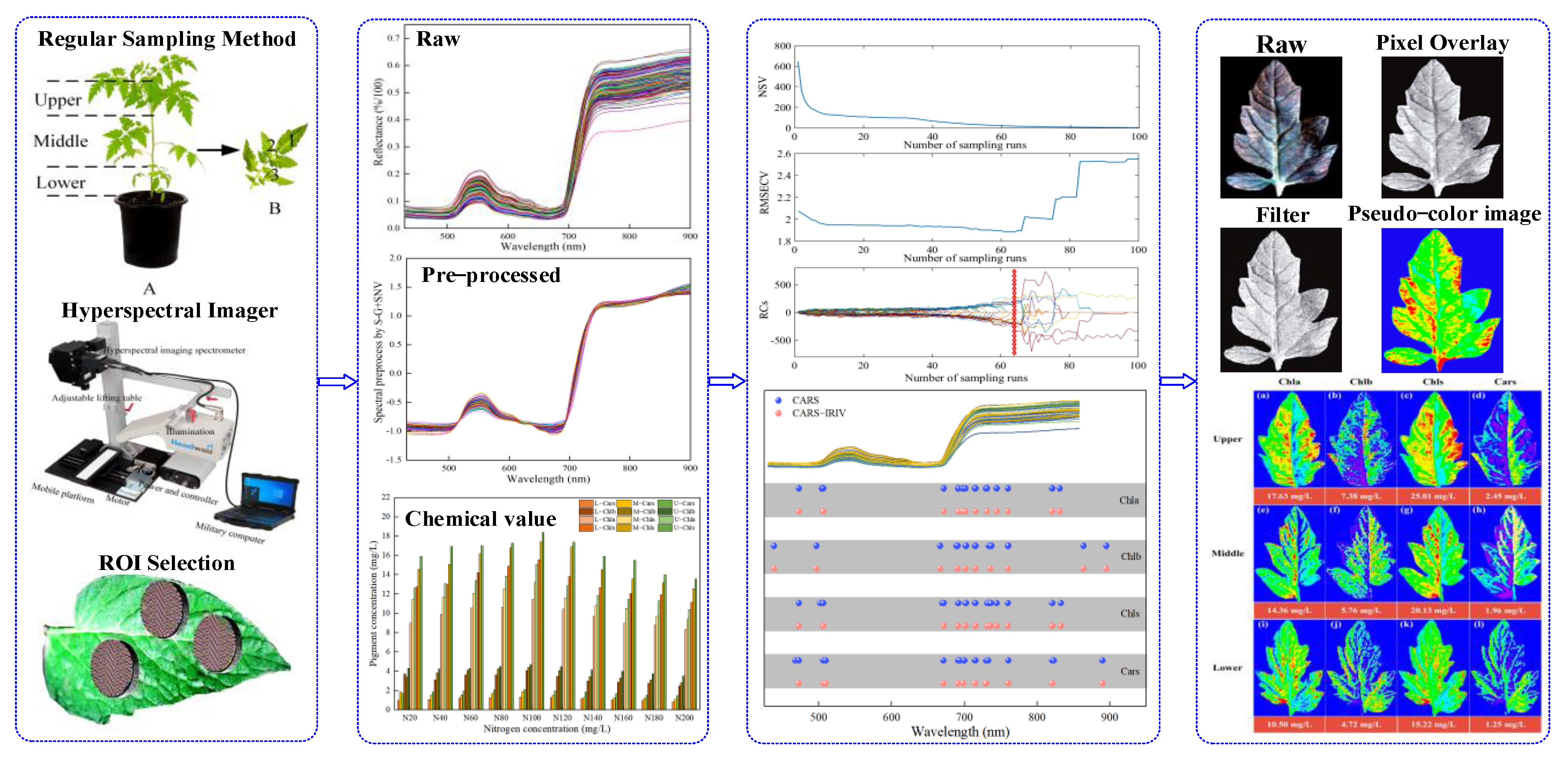 Plants 12 02956 g001