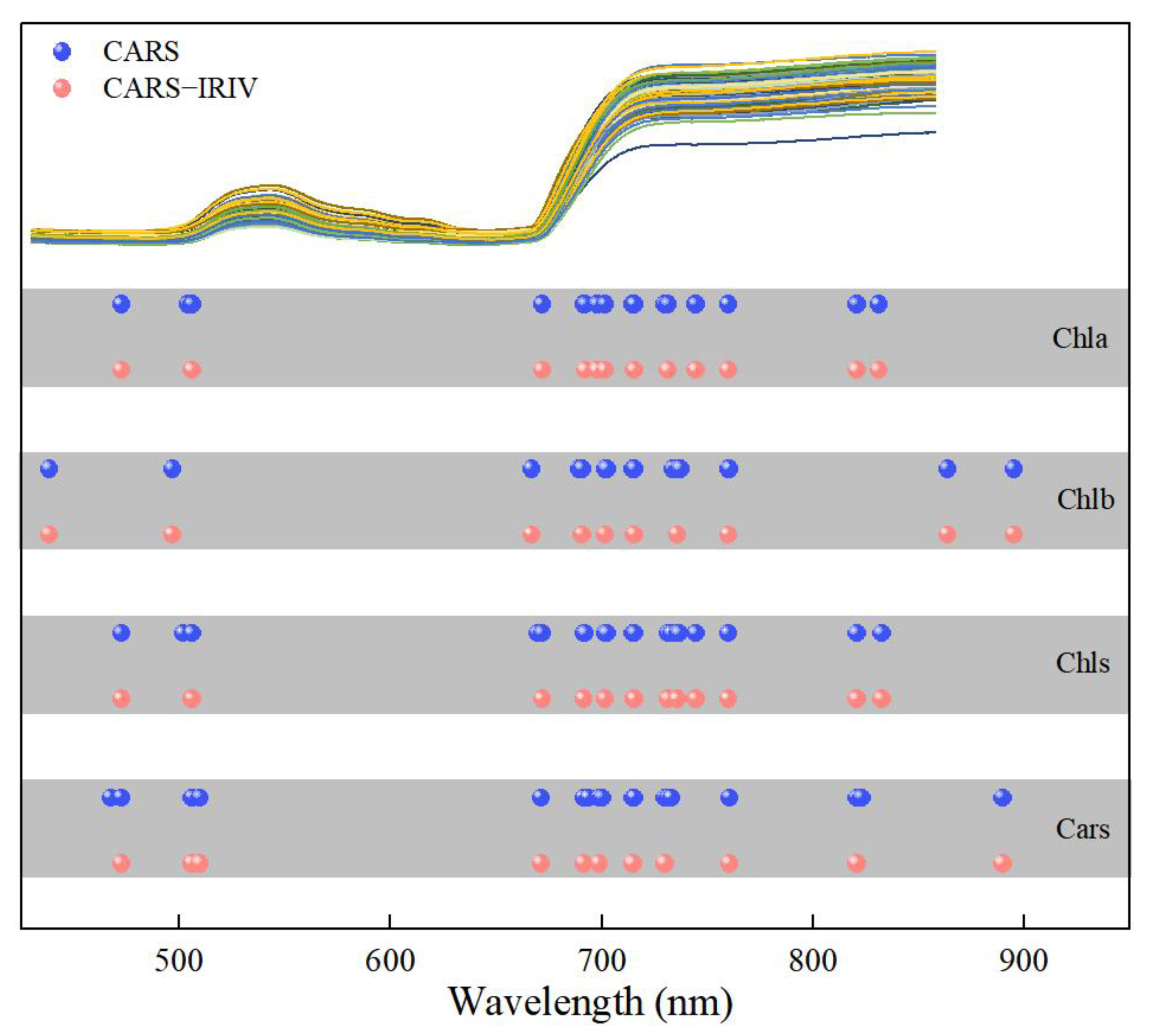 Plants 12 02956 g005