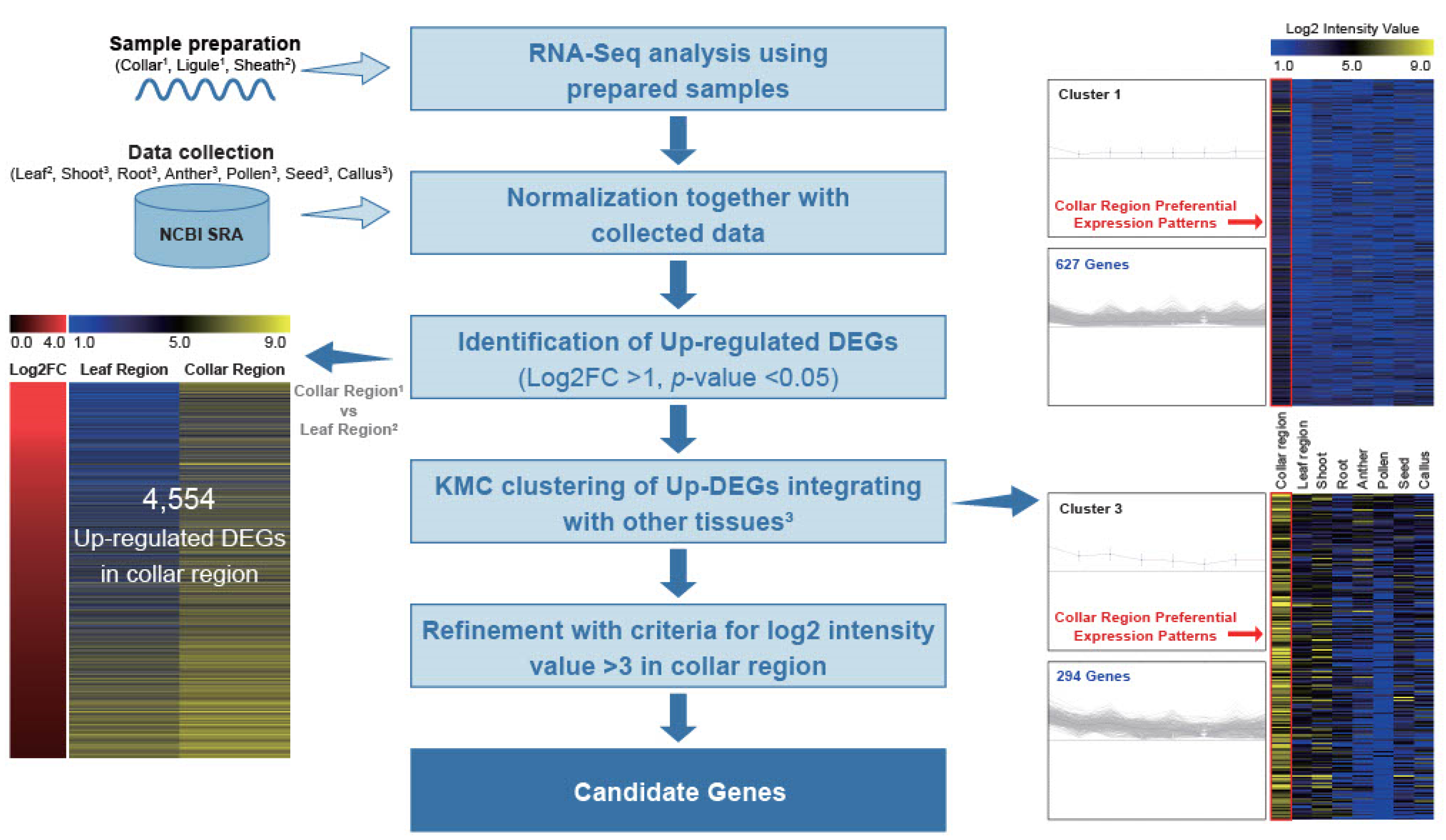 Plants 12 02959 g002