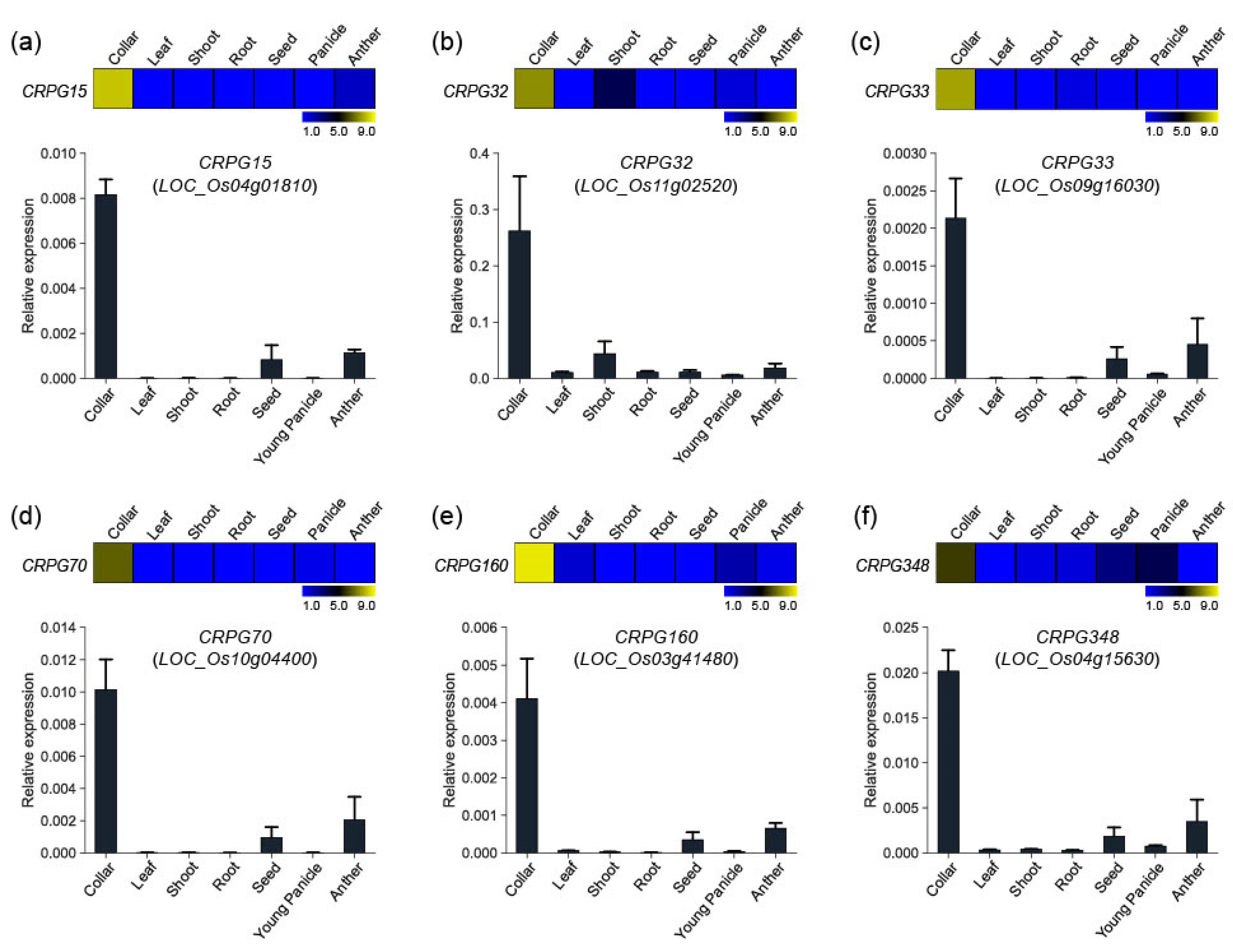 Plants 12 02959 g003