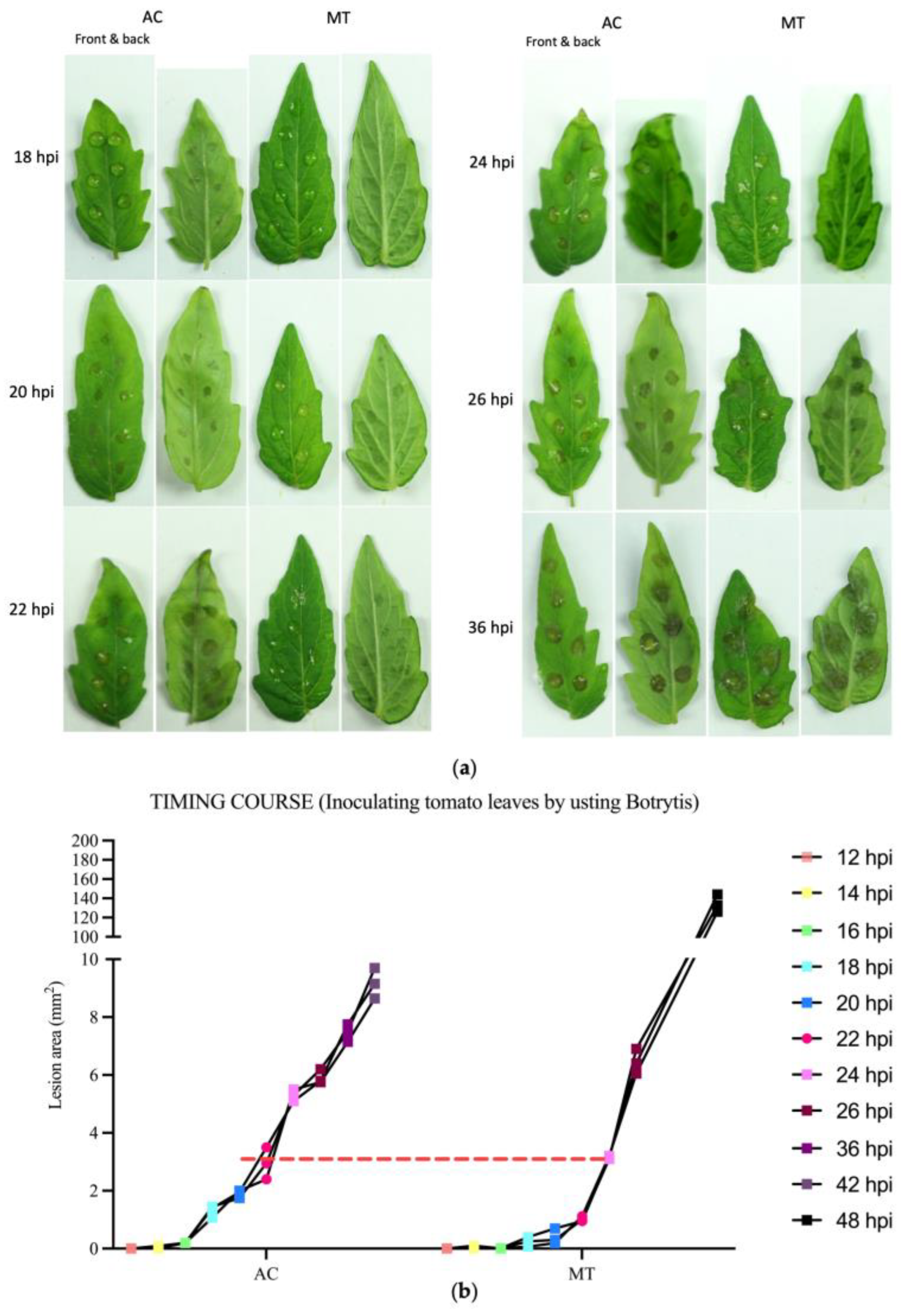 Plants 12 02965 g001