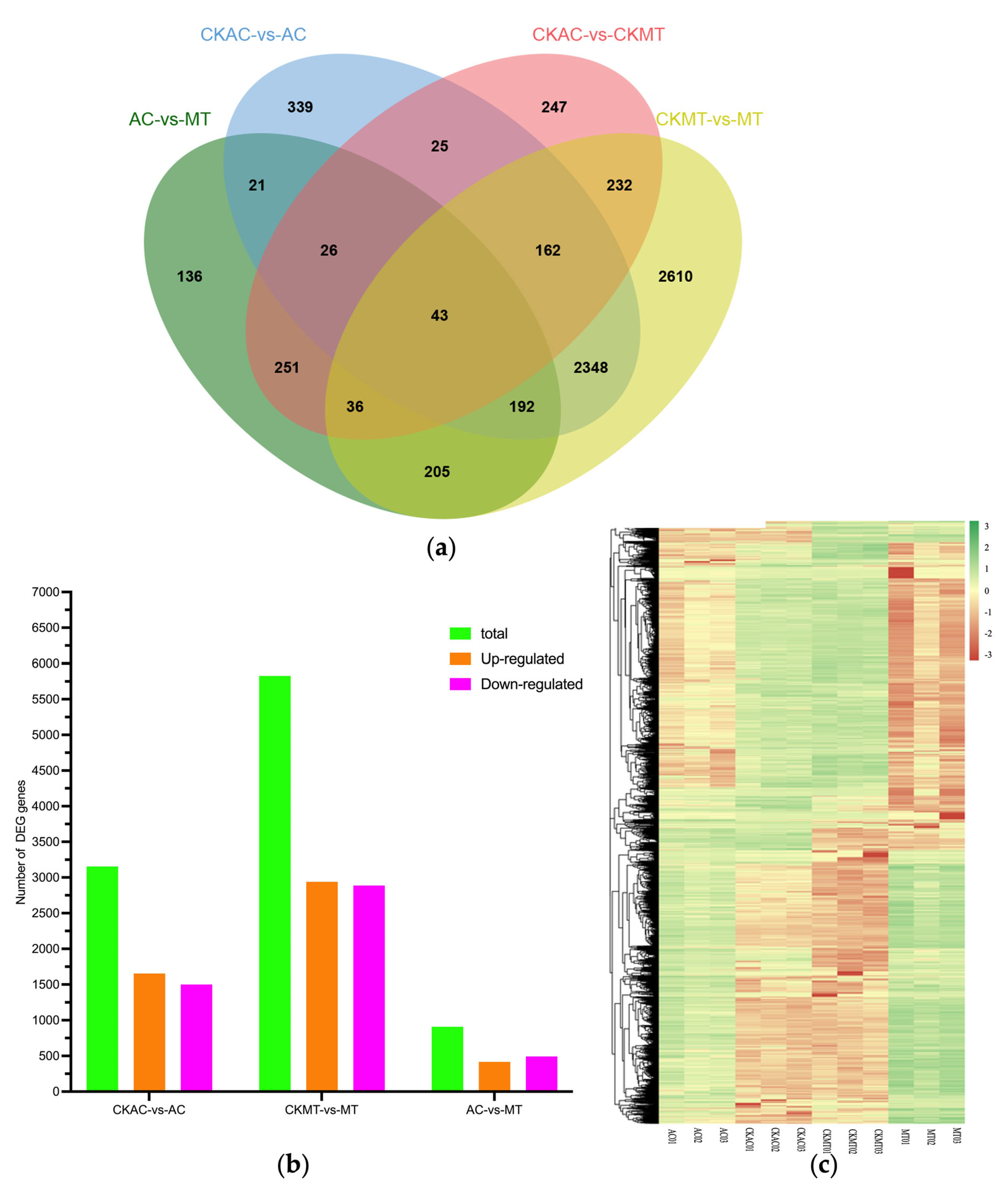 Plants 12 02965 g002