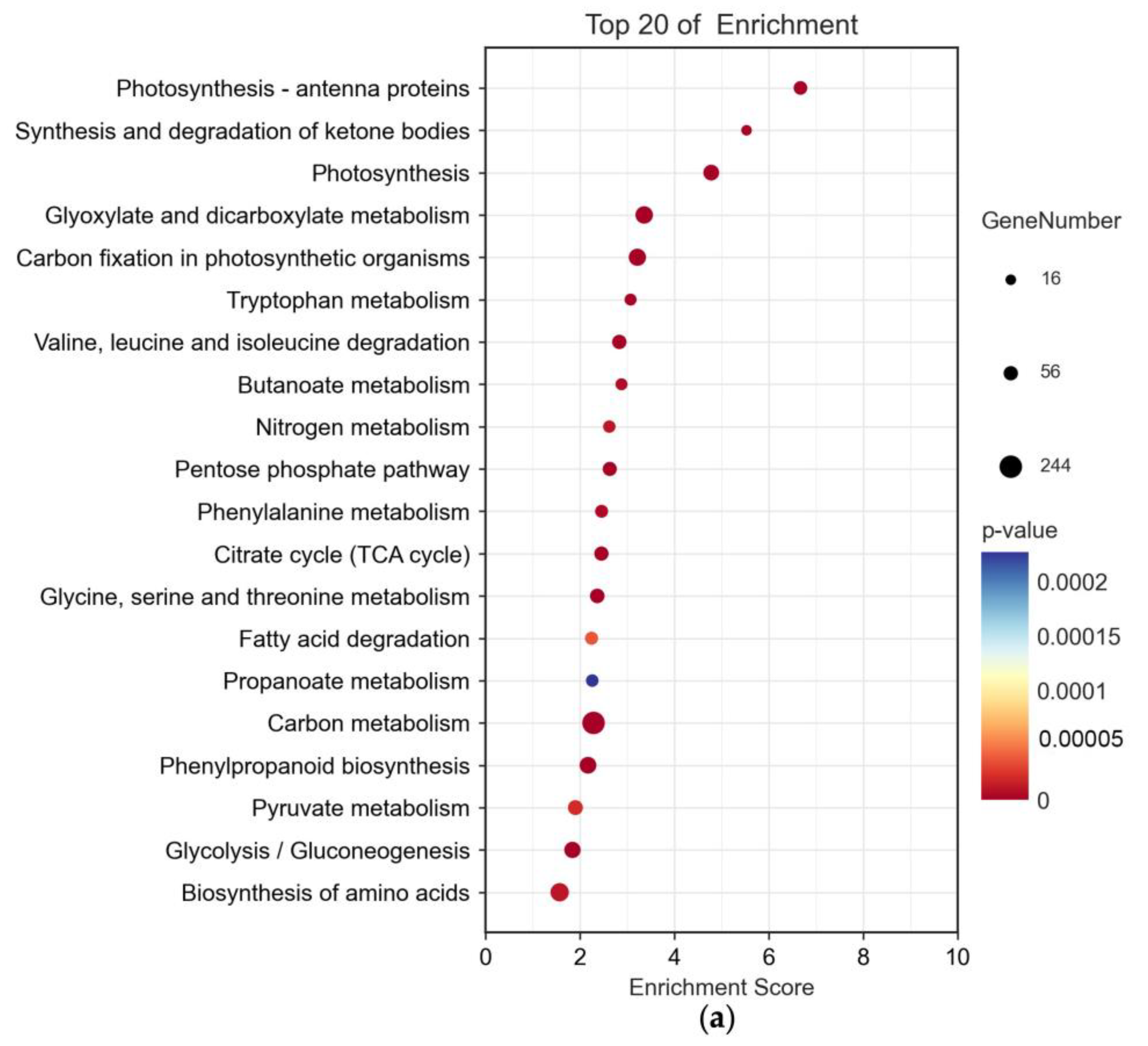 Plants 12 02965 g003a
