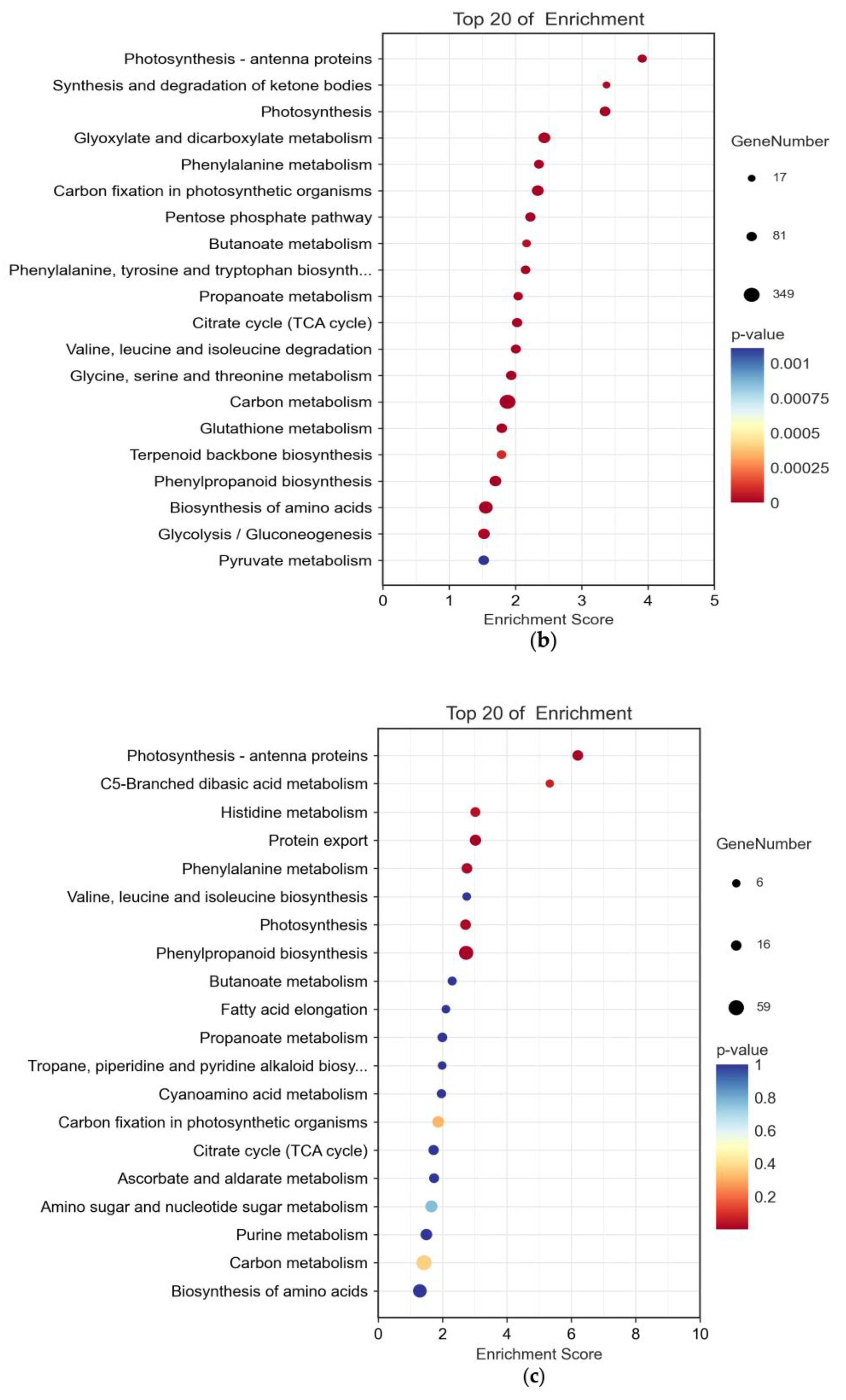 Plants 12 02965 g003b