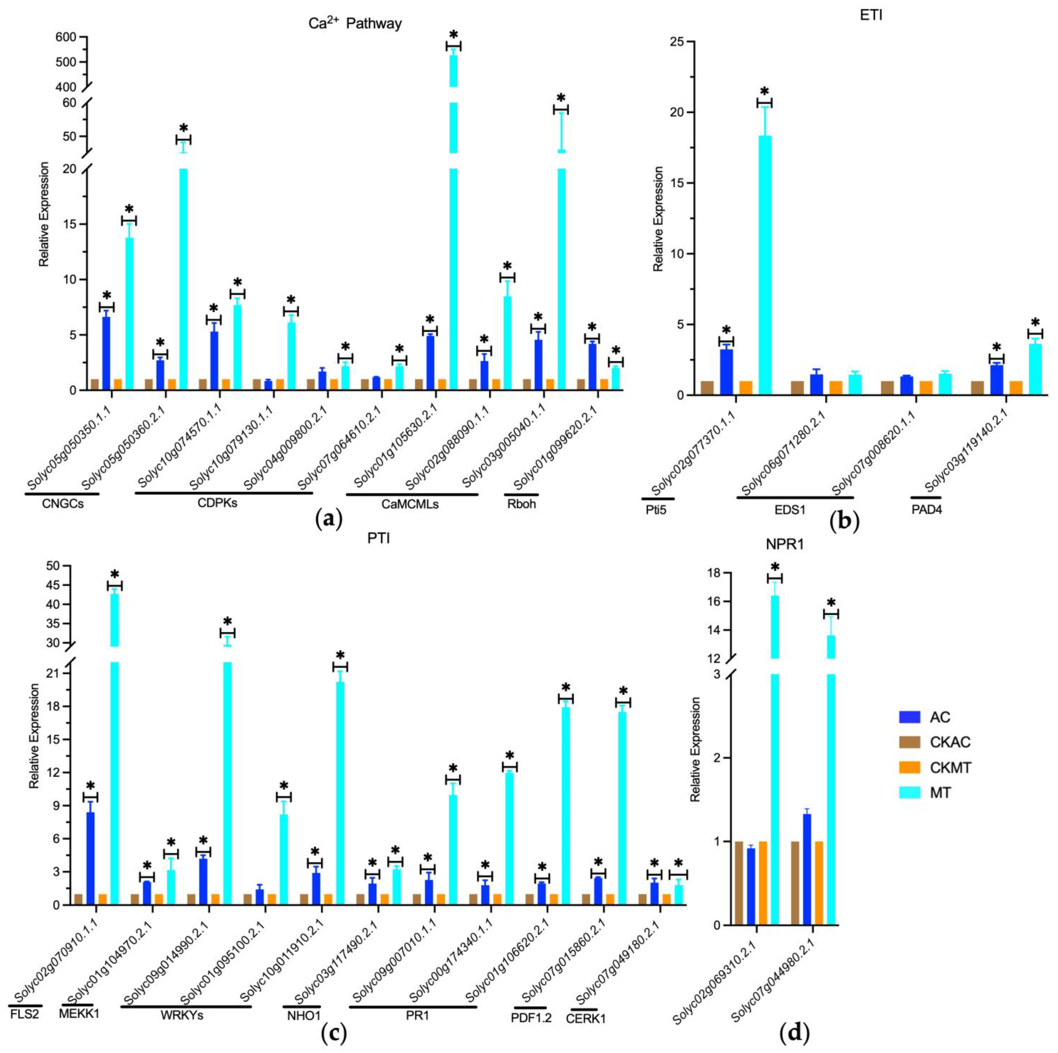 Plants 12 02965 g006