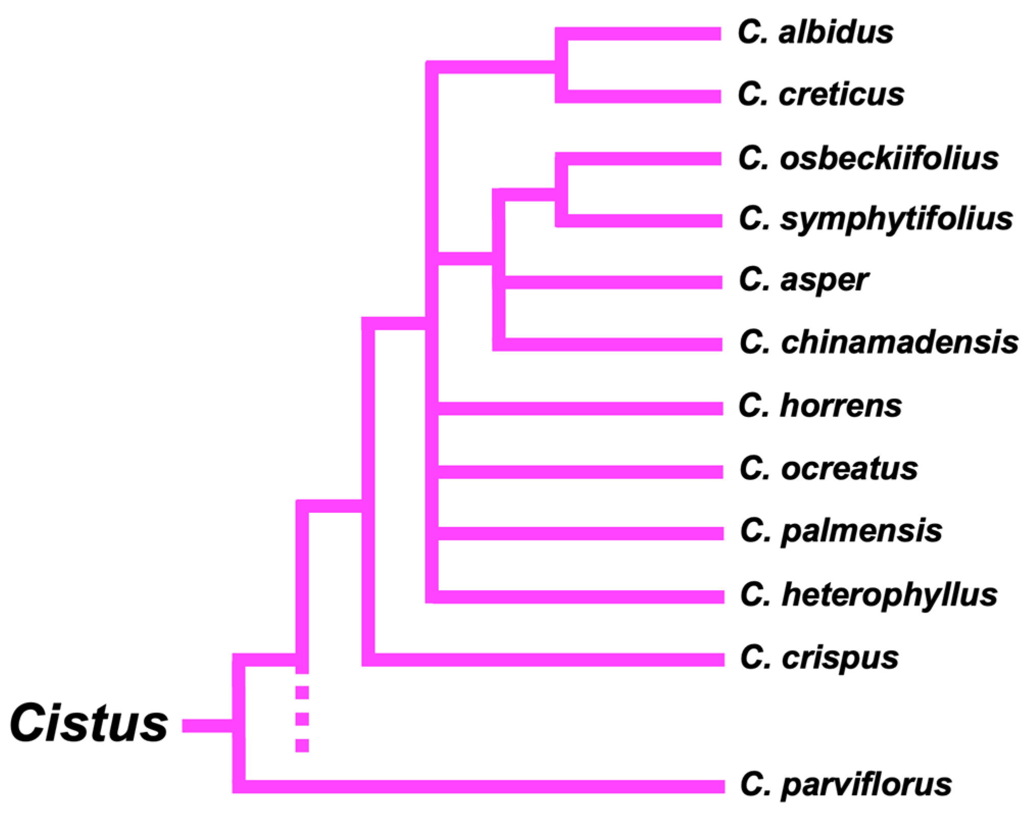 Plants 12 02988 g004