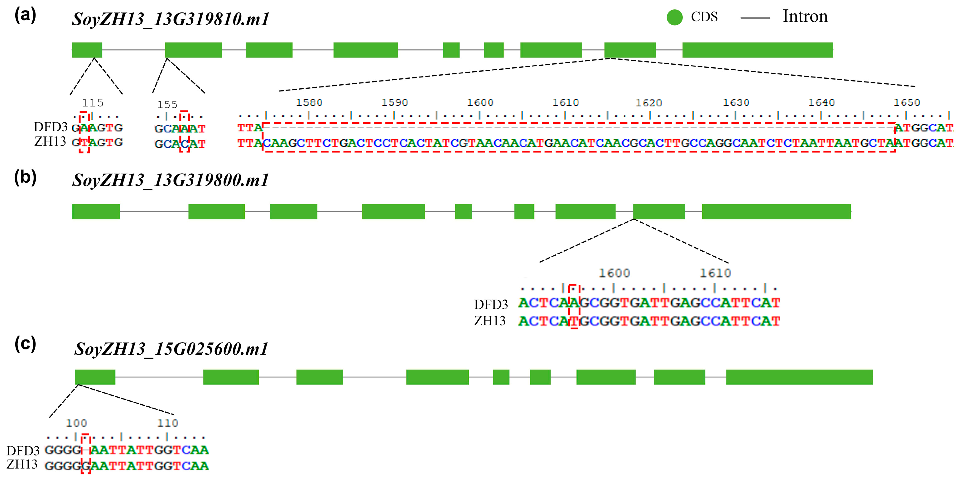 Plants 12 02994 g003