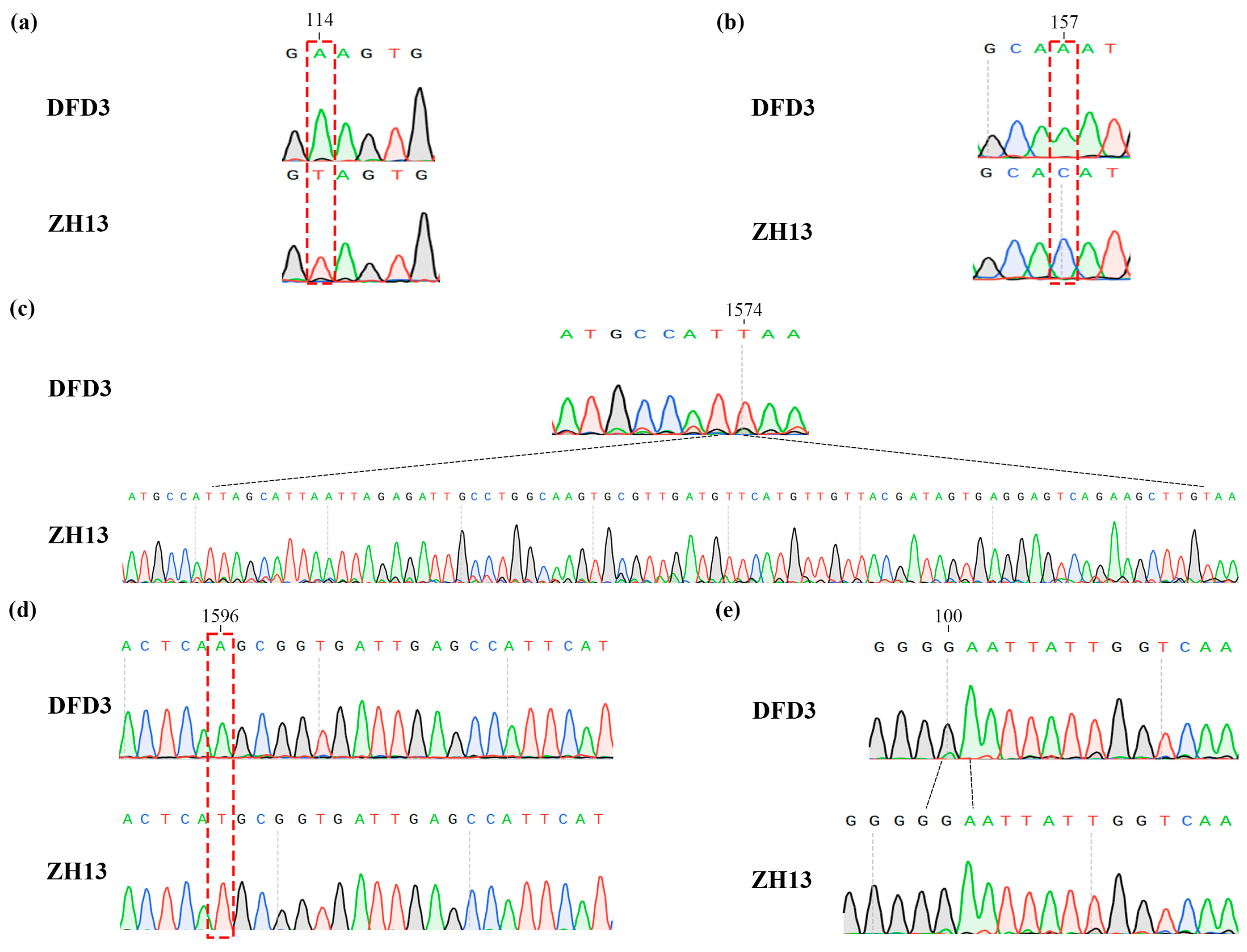 Plants 12 02994 g004