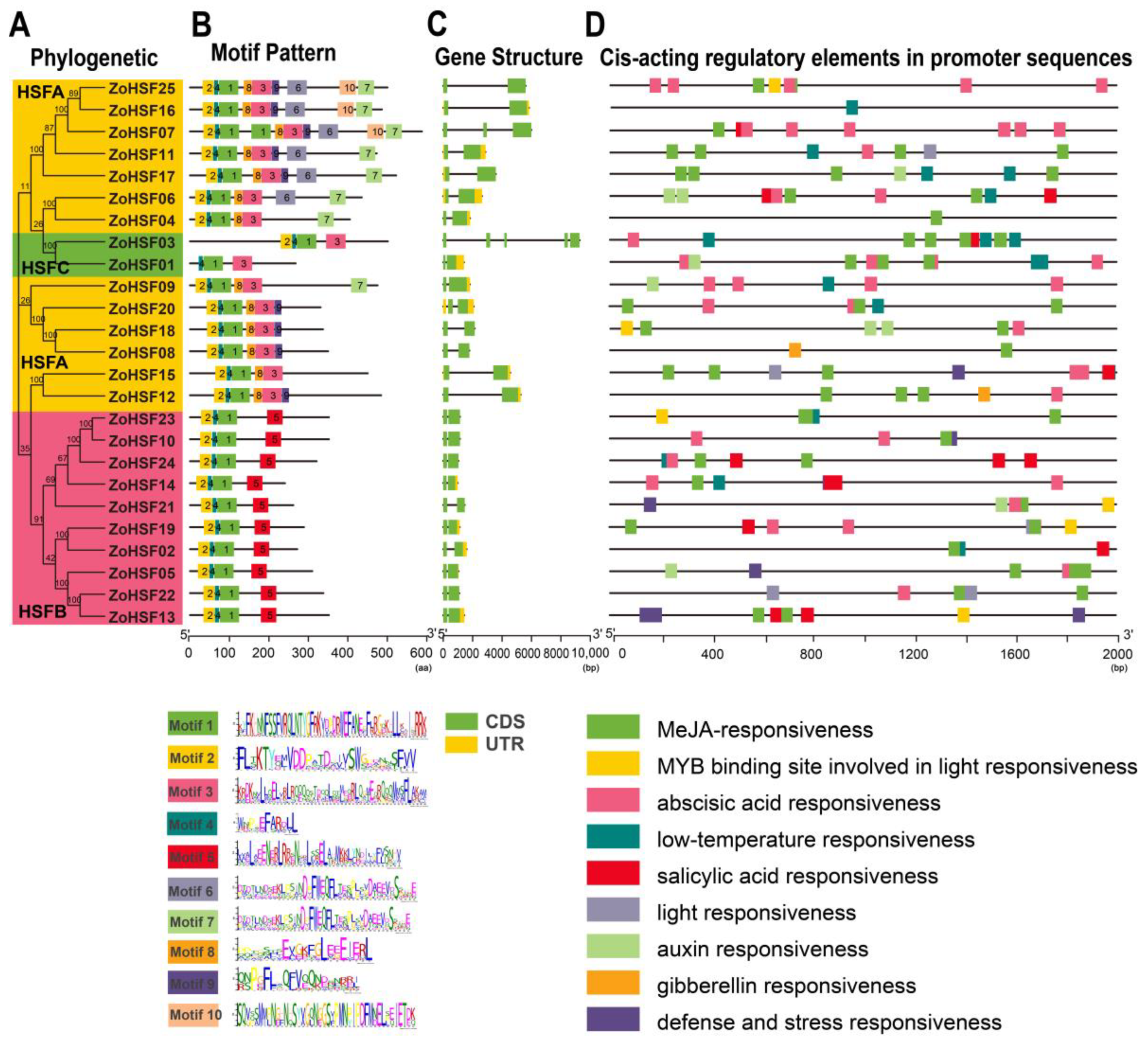 Plants 12 02999 g003