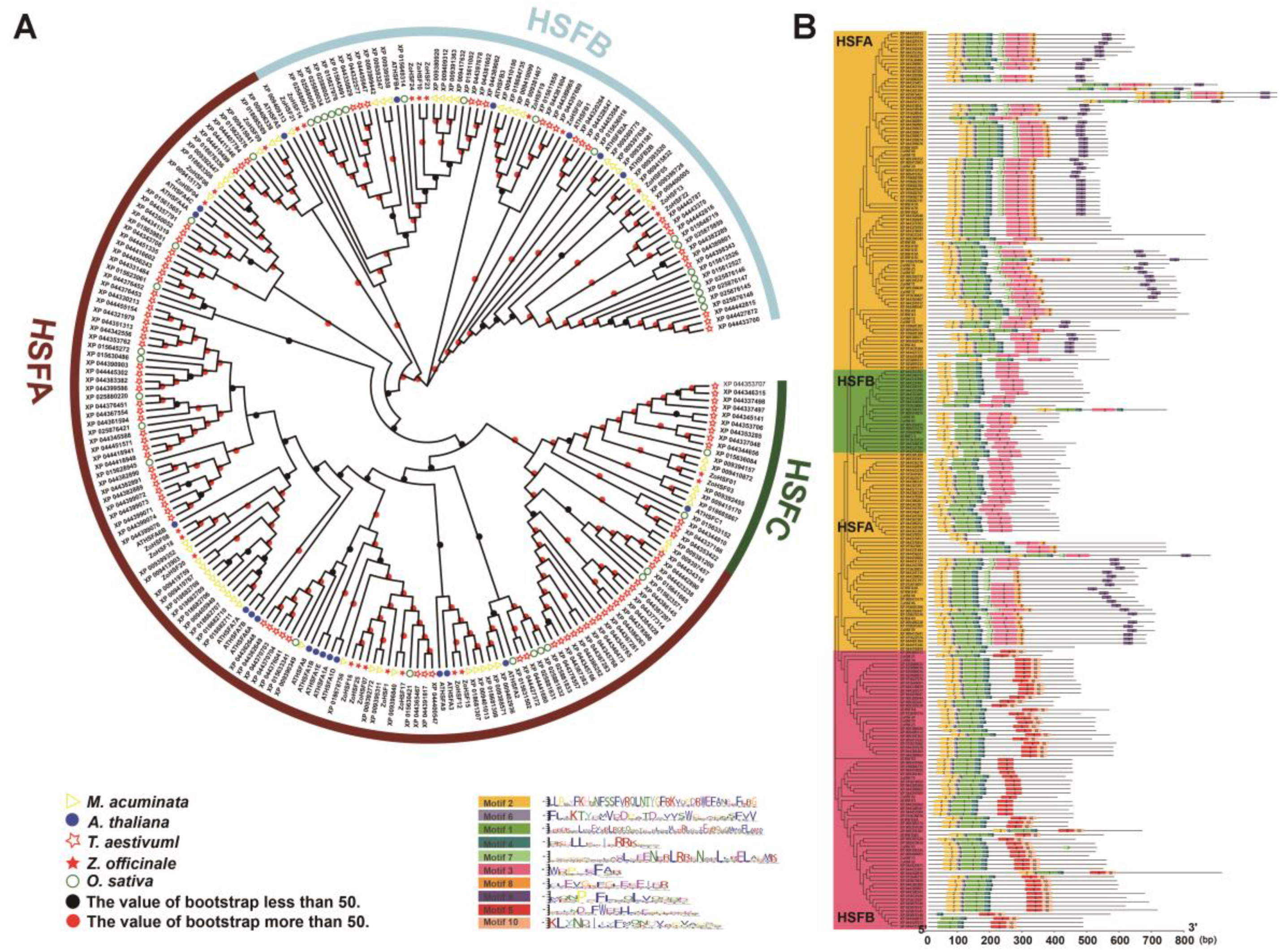 Plants 12 02999 g004