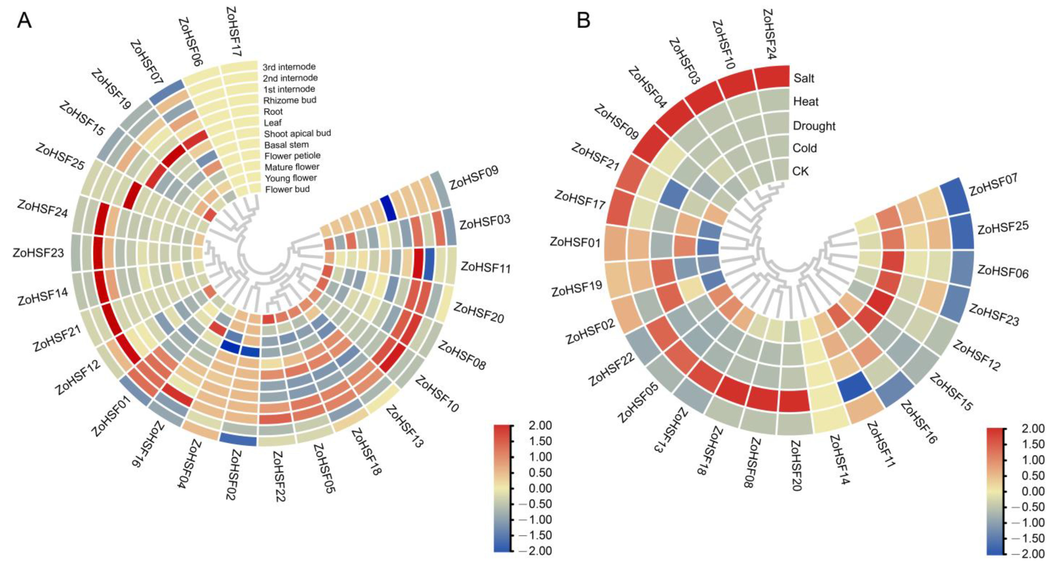 Plants 12 02999 g007